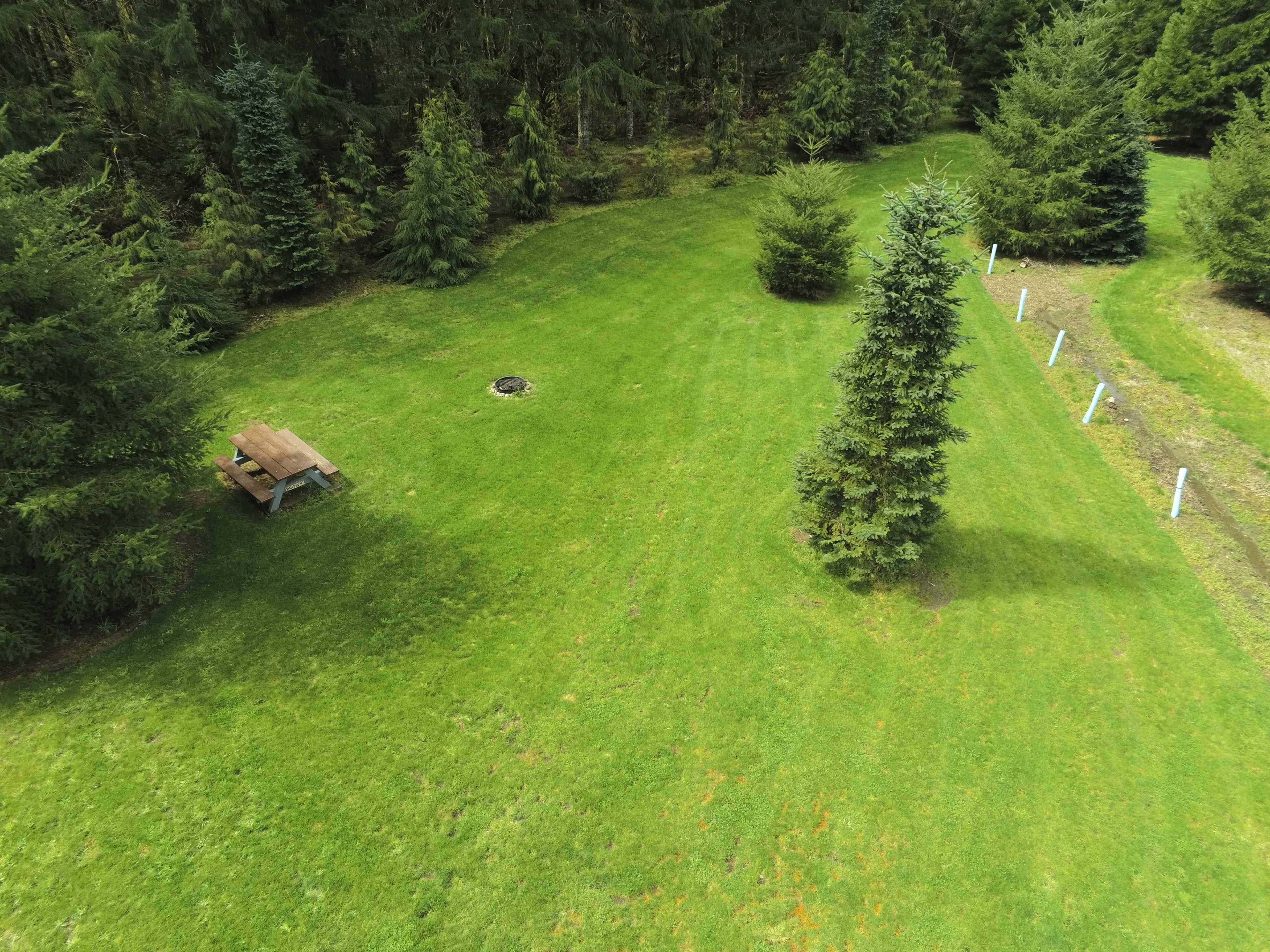 Drone view looking West across the Brown site into the Cedars and Redwoods.