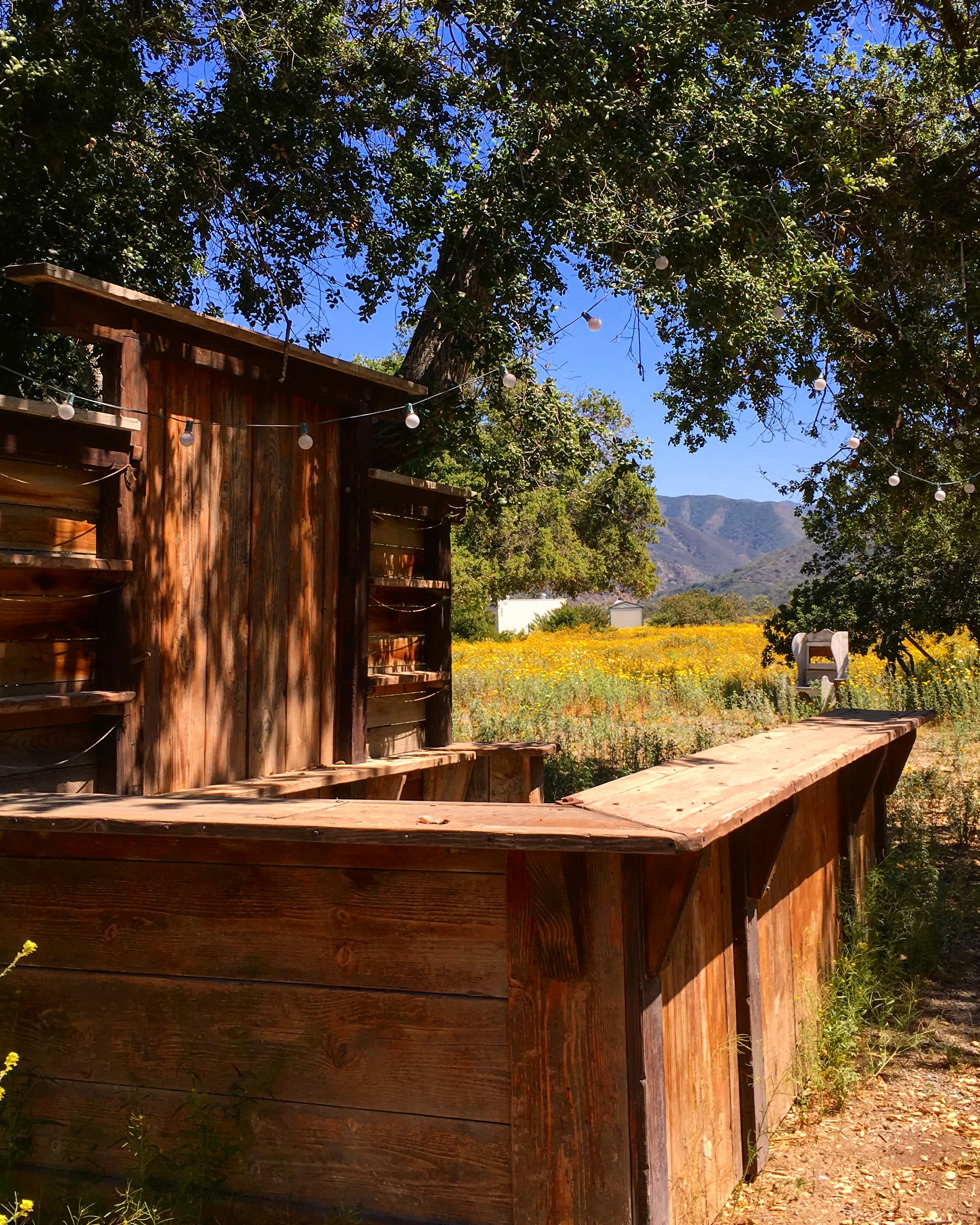 The Ranch