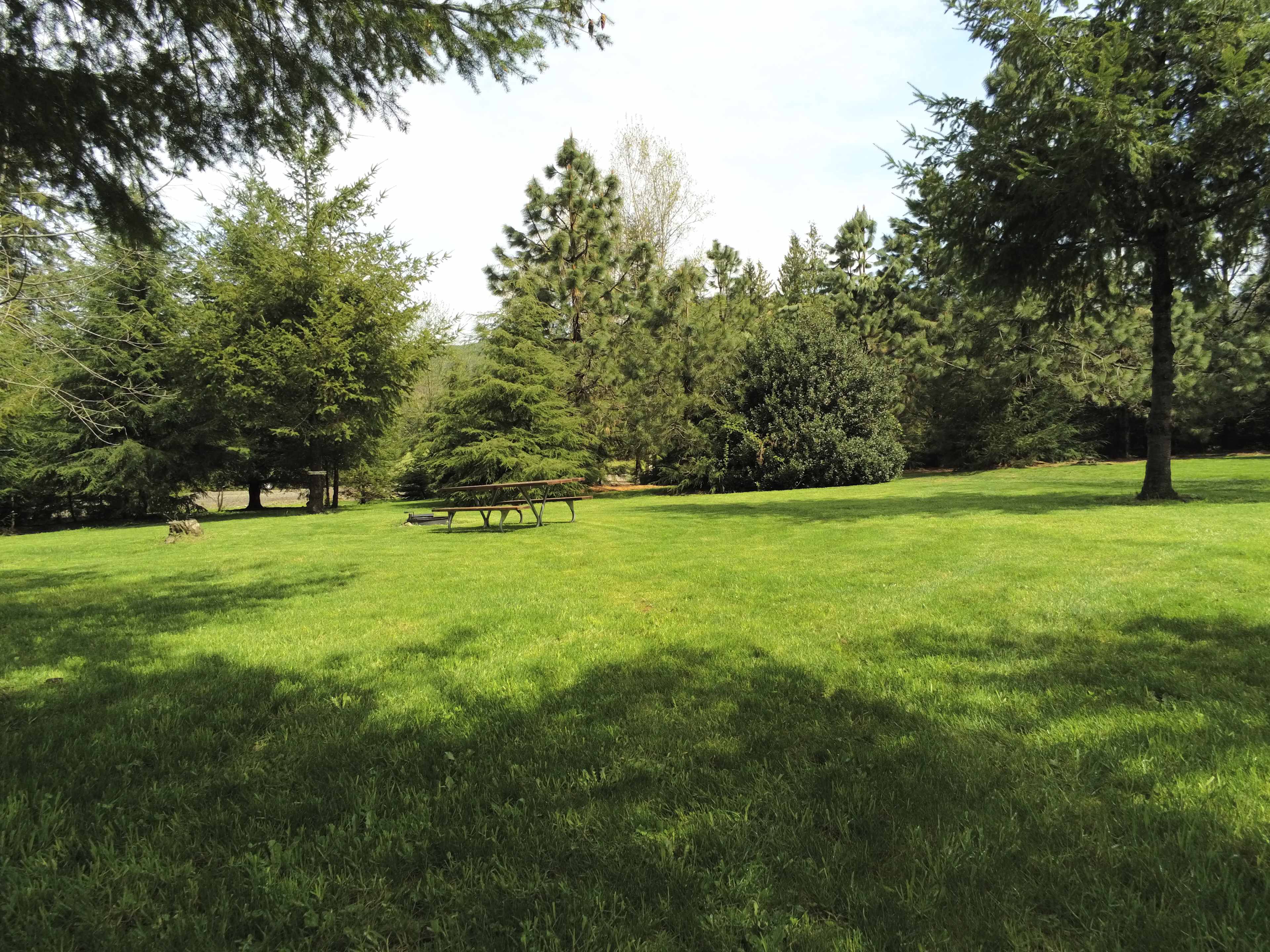 Looking South from with Shady Grove site.