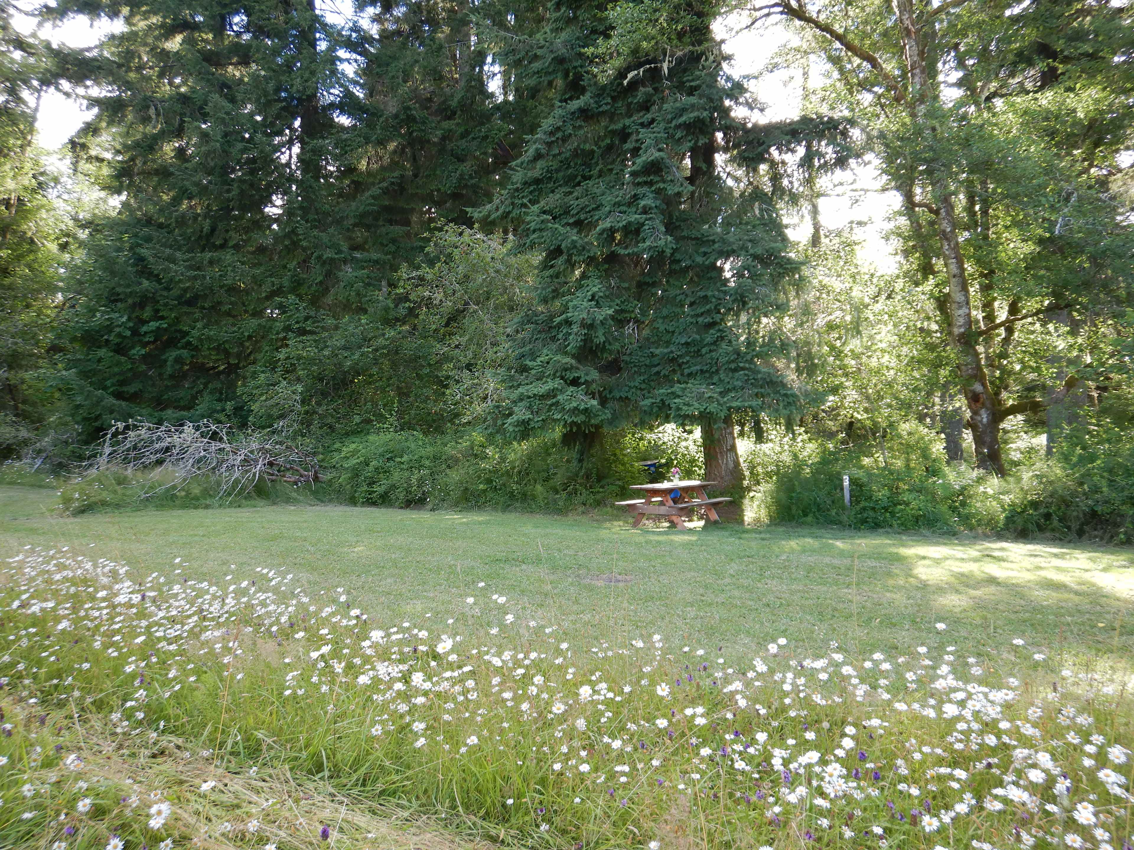 Lost Valley Farm Camp
