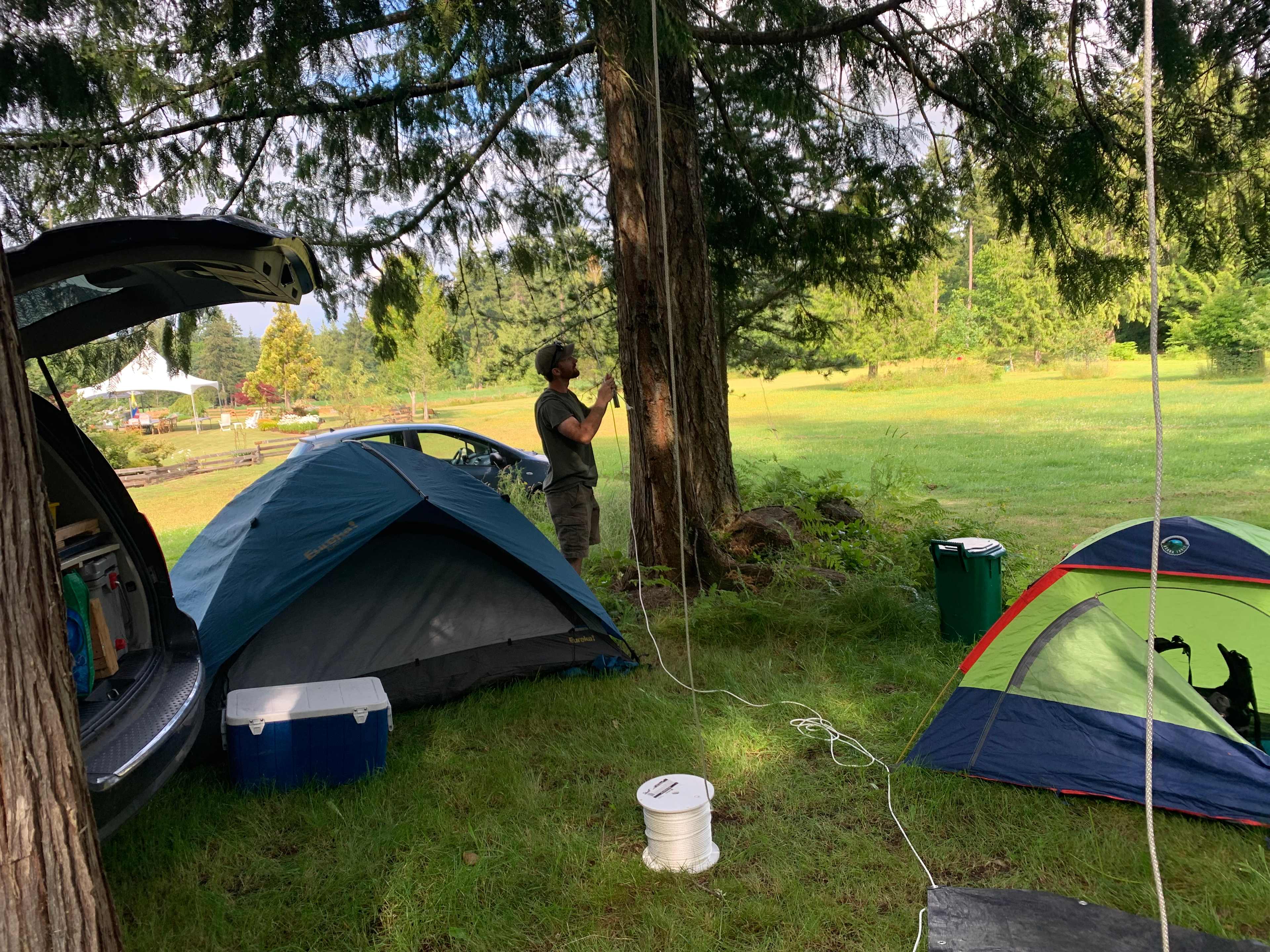 Longleat House Old Growth Spirit