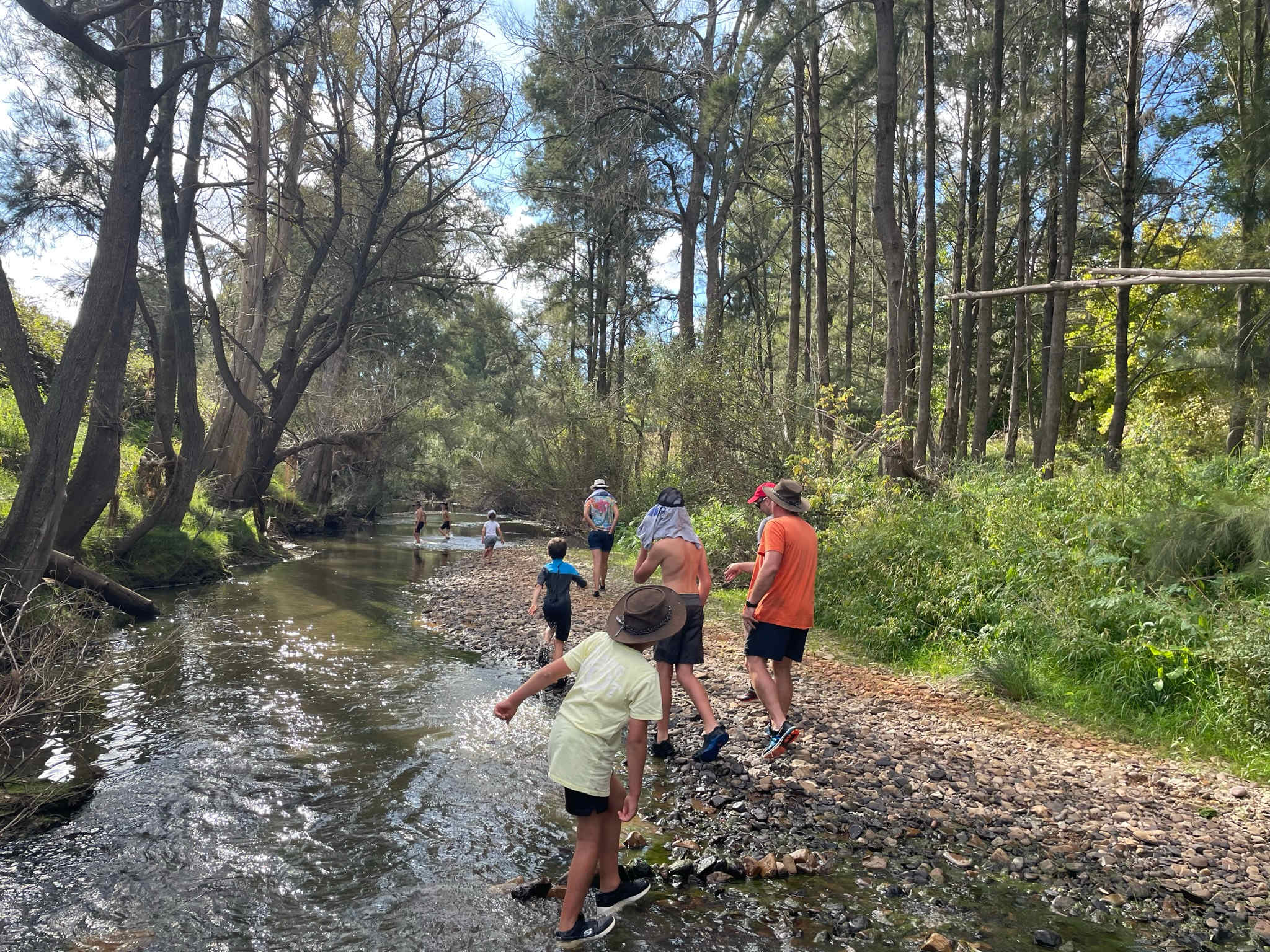 Exploring the creek