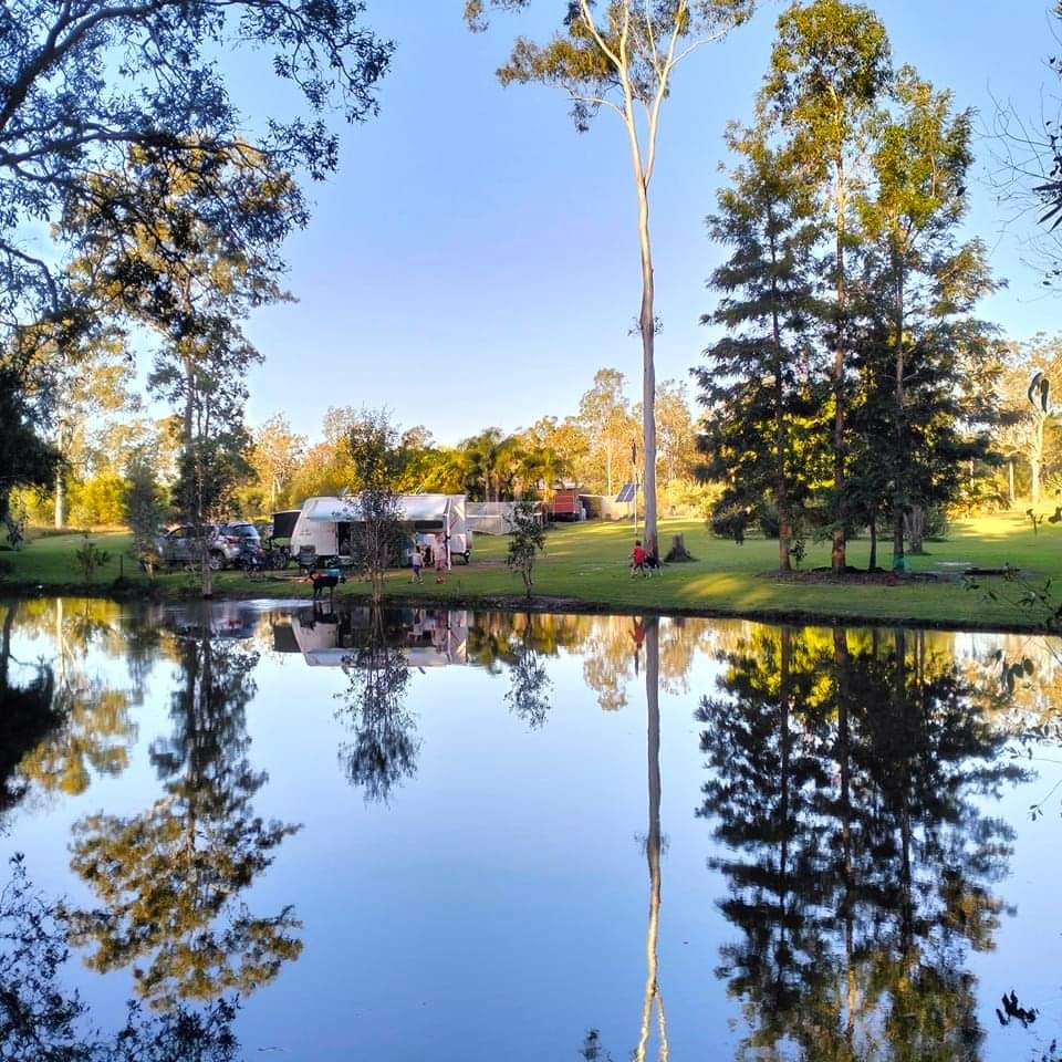 Collie Farm