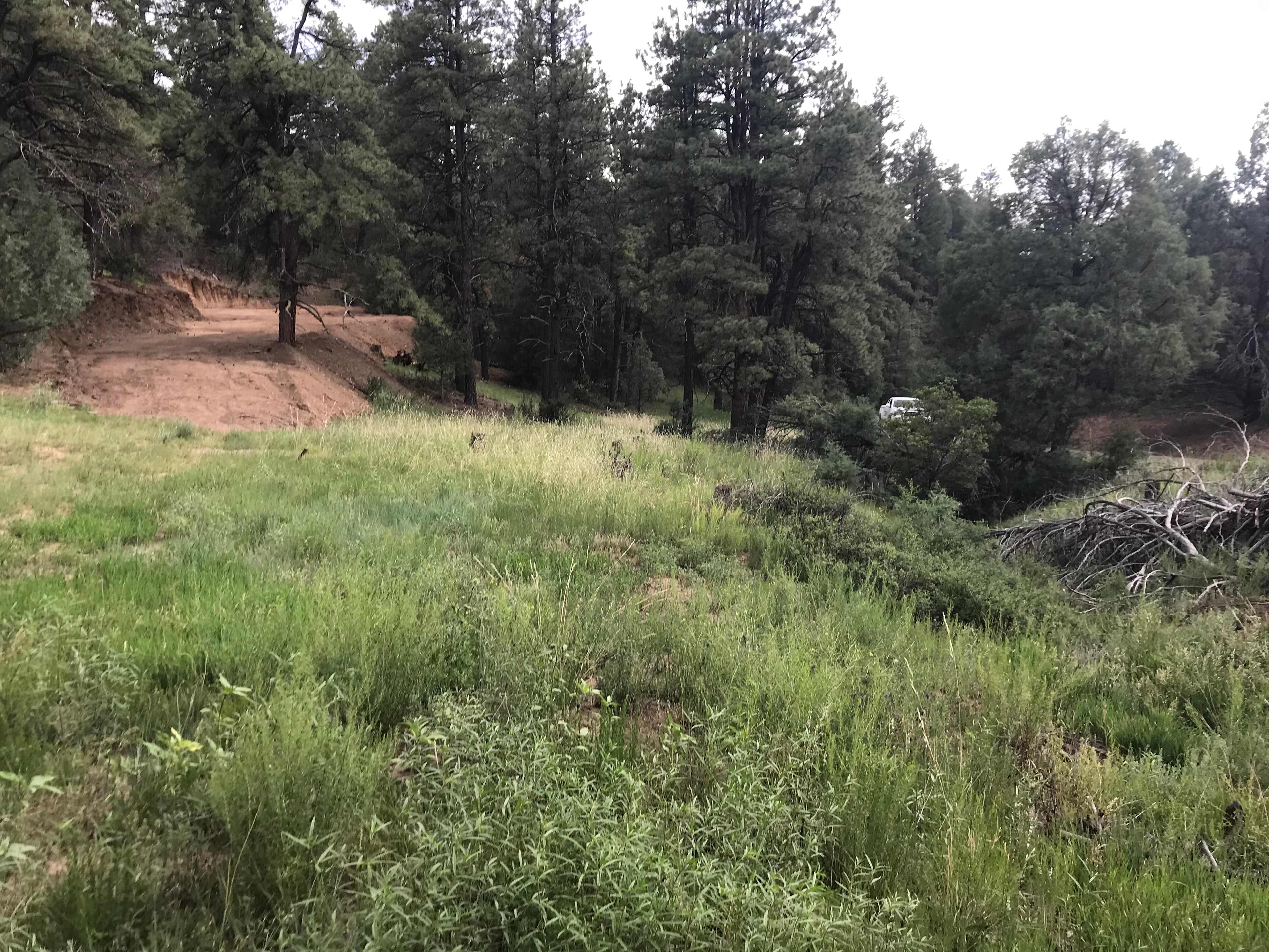 We have a nice large flat area for you to park your small camper or truck camper  we will be cutting down the tree by the driveway soon. 