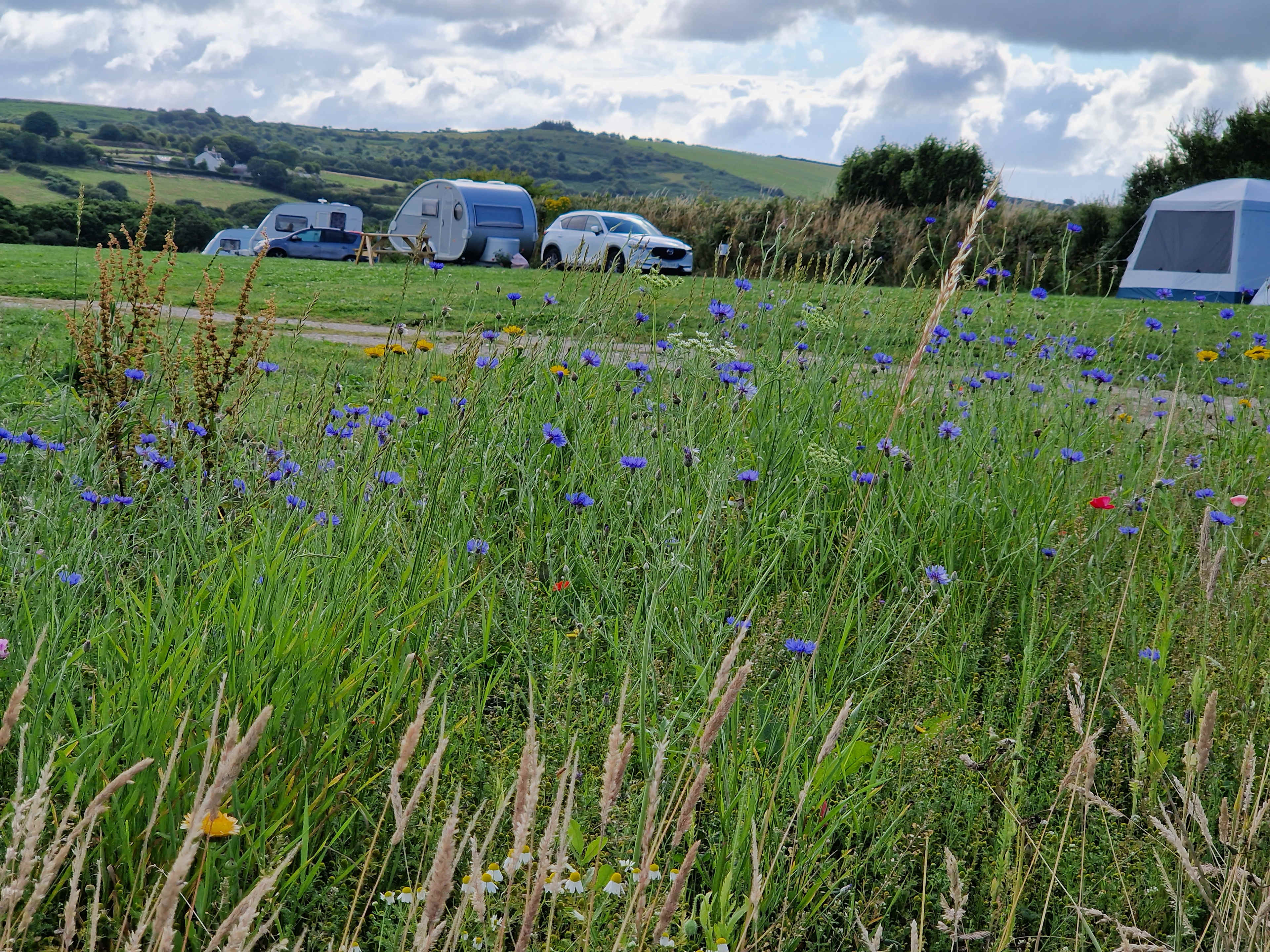 The Camping Field
