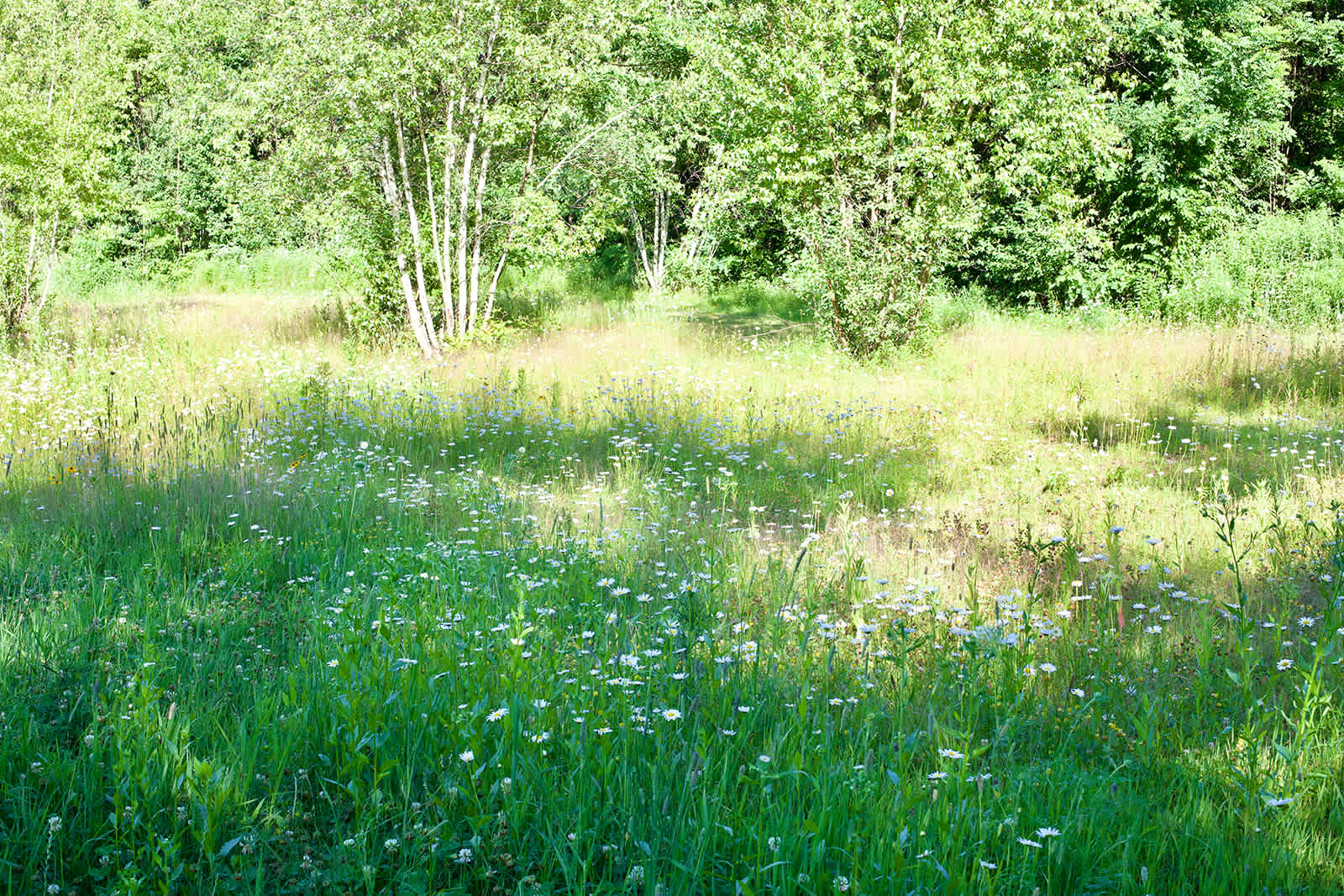 Peaceful Packies @ 3 Willows Farm