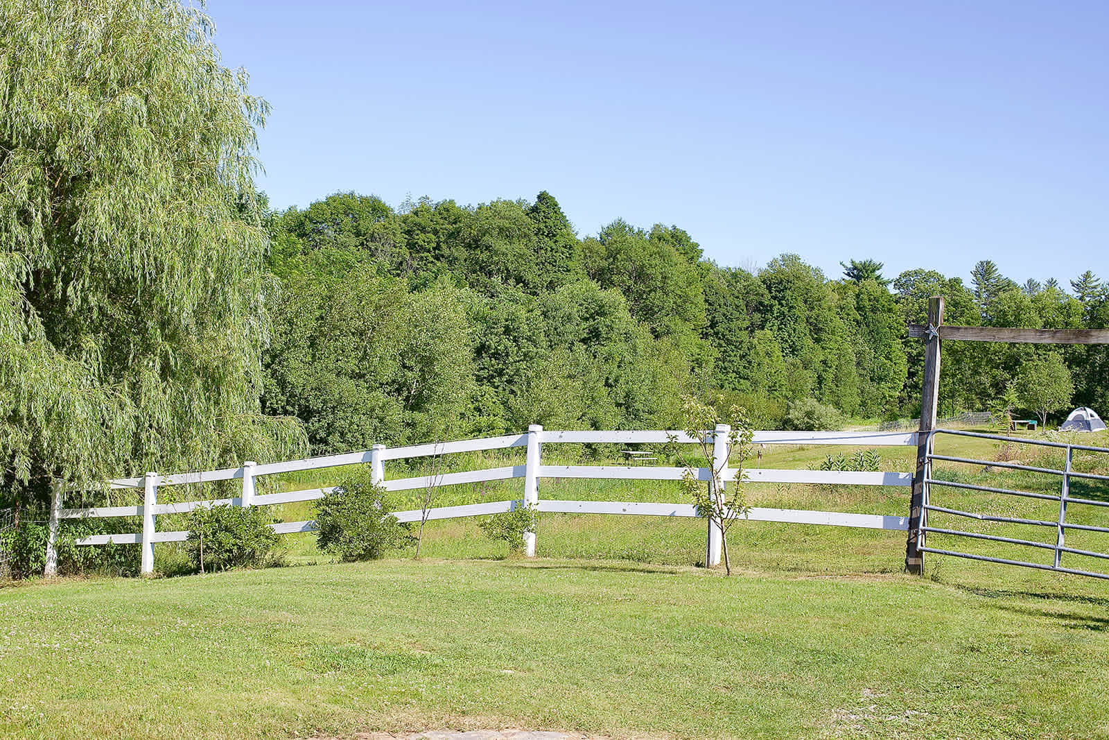 Peaceful Packies @ 3 Willows Farm