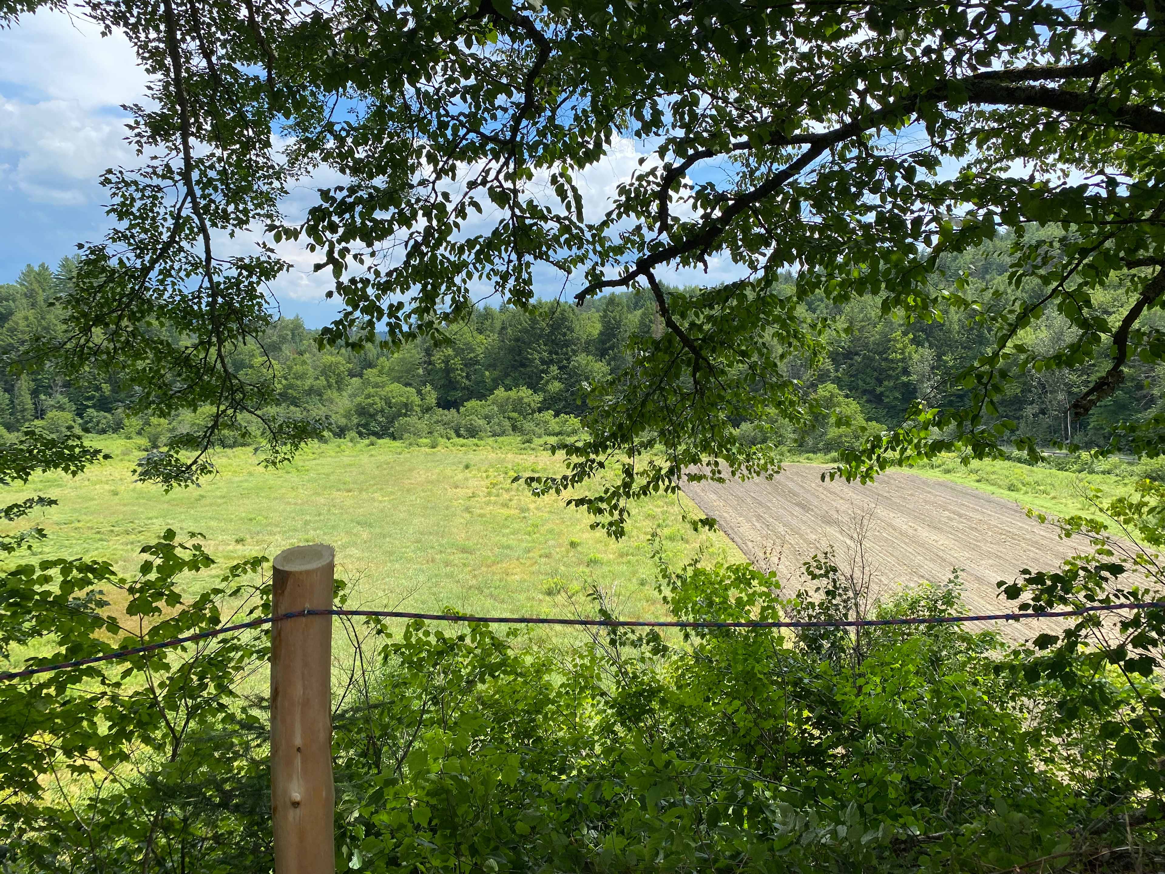 Hoolie Farm