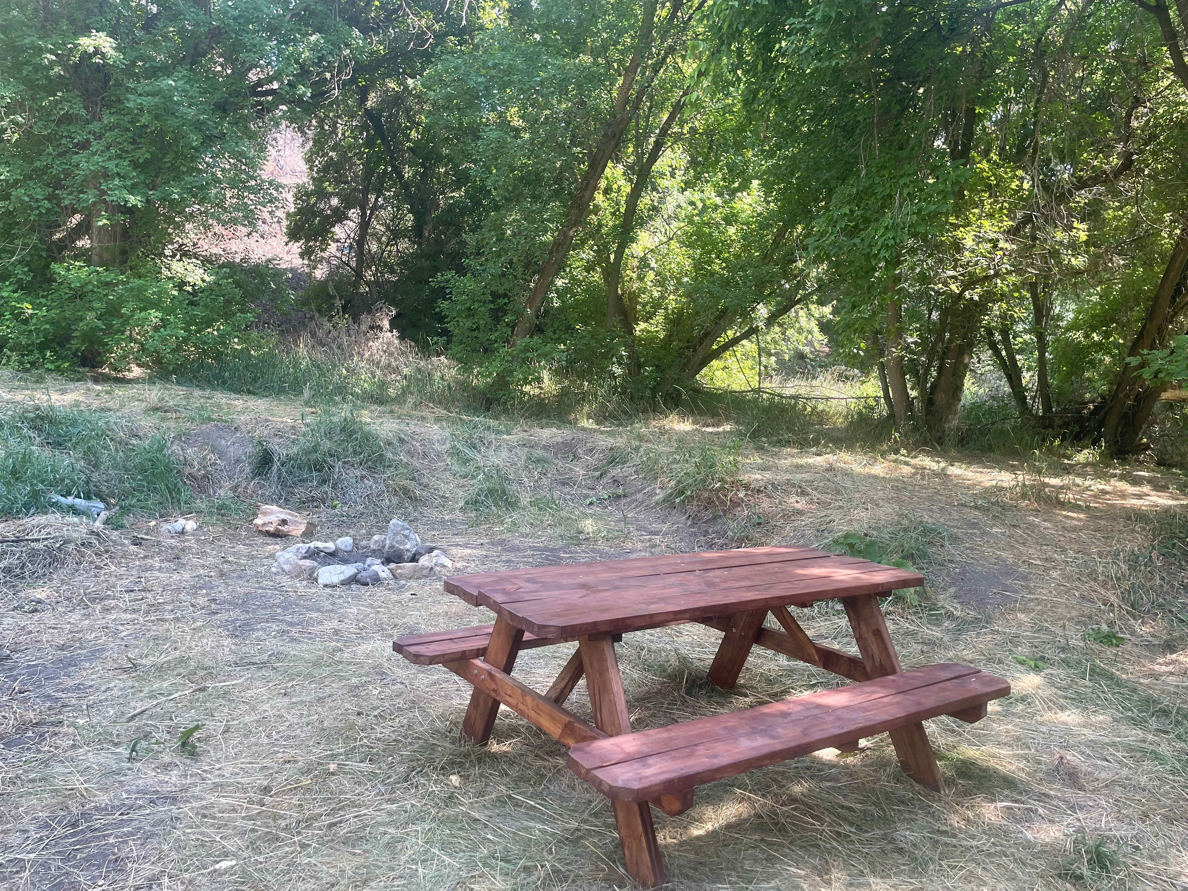 Site 4