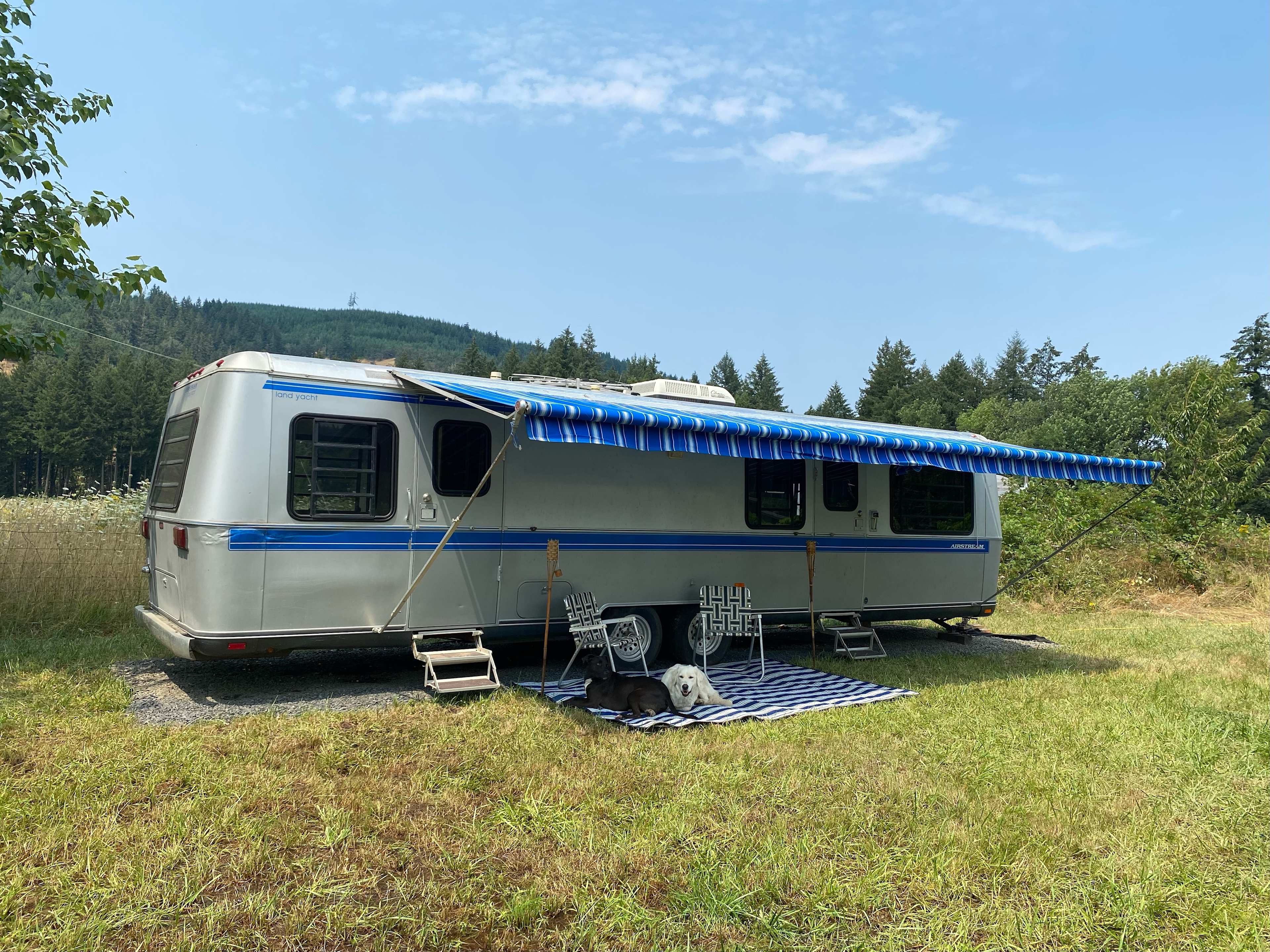 Airstream in the middle of Two Rivers Farms next to grapevines with cows grazing nearby