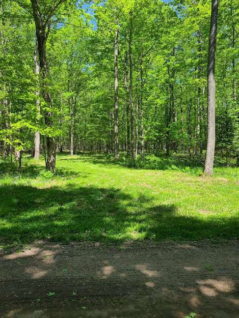 Grassy area in primitive sites