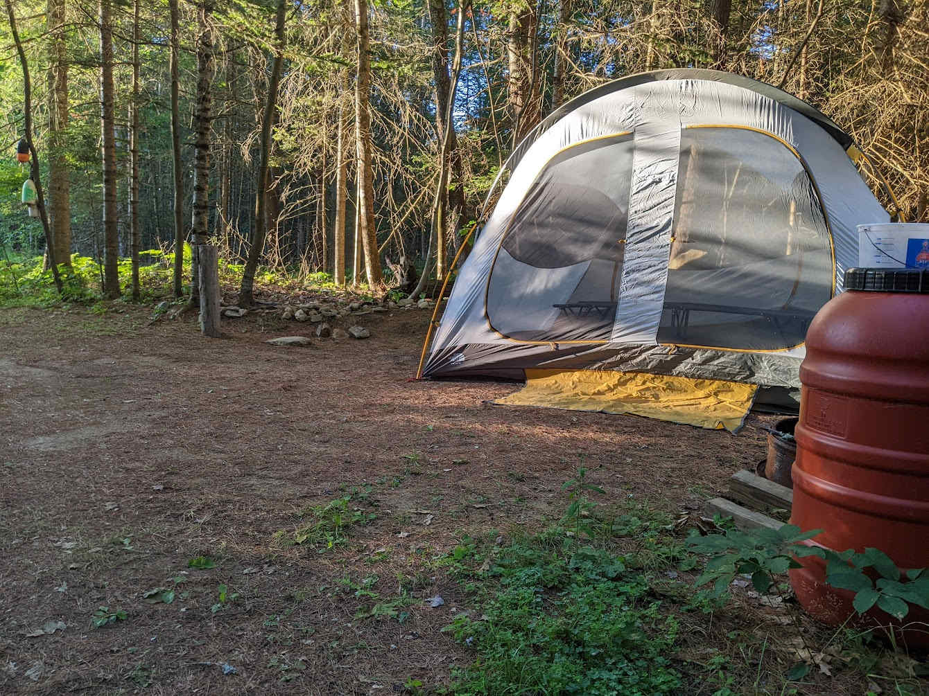 The evening setting sun shines yellow on camping tent