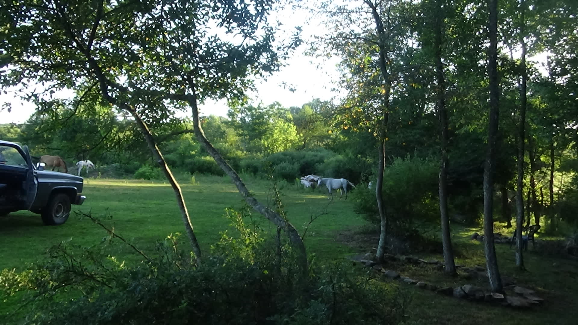 view from the cabin, also available as well