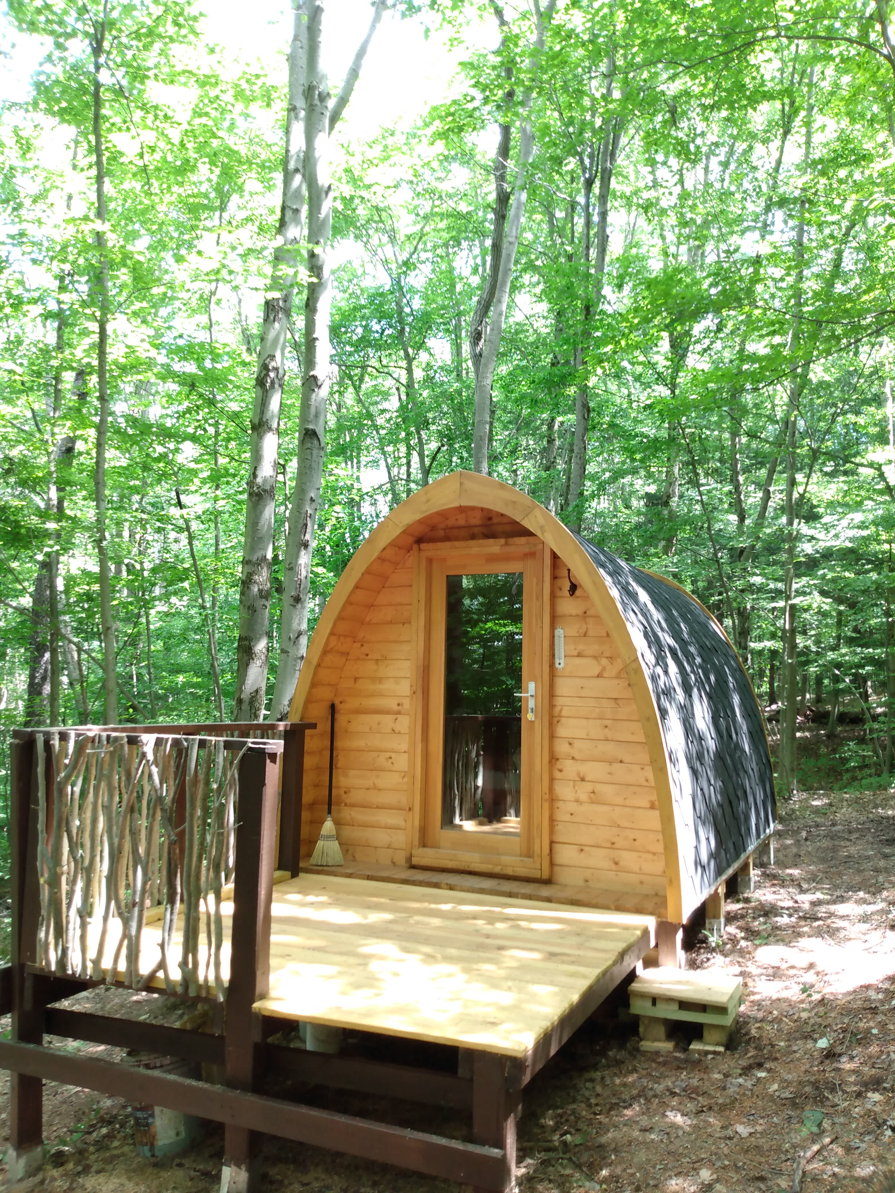 Camp Earth Connection