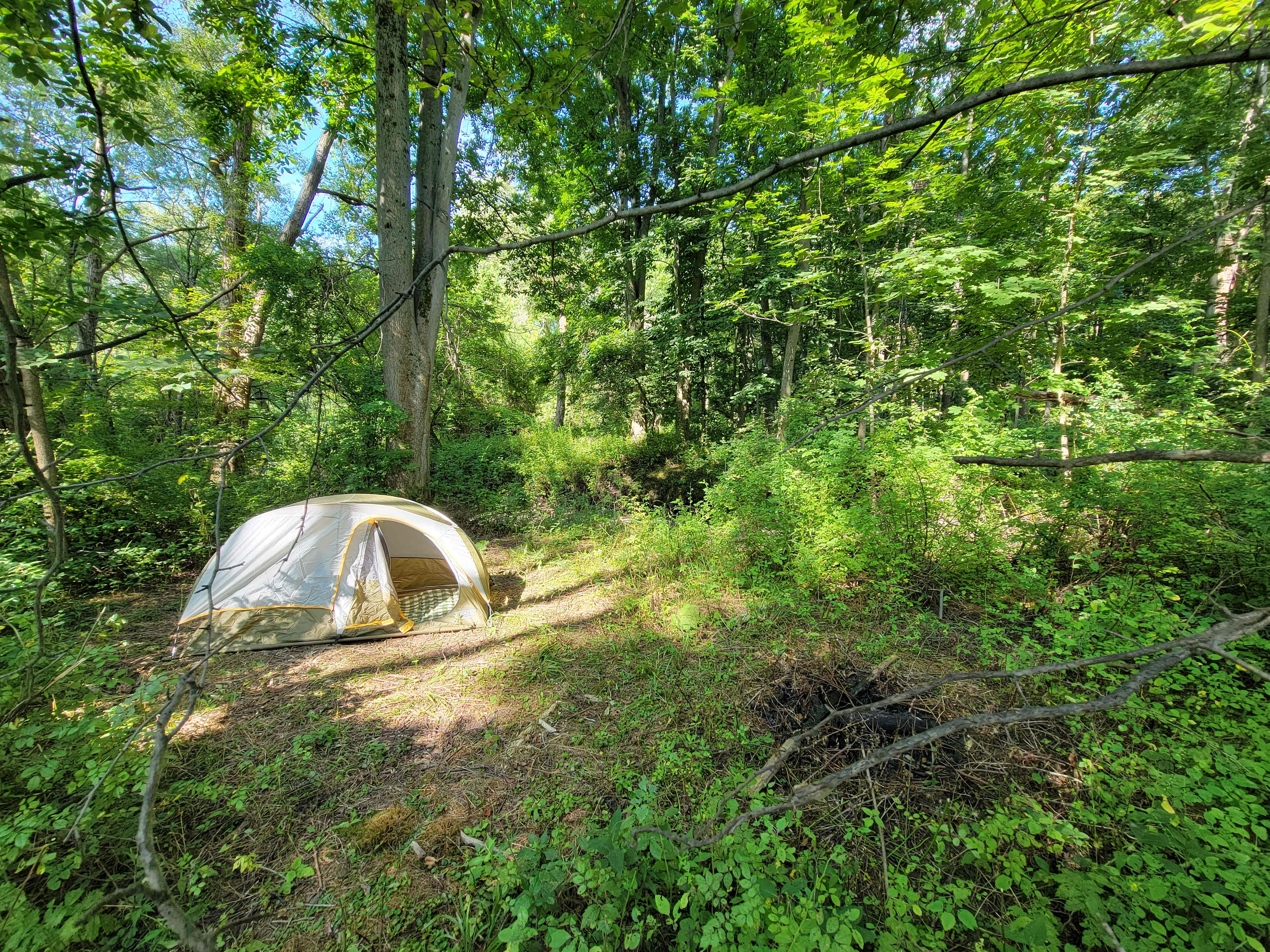 The Eternal Campground