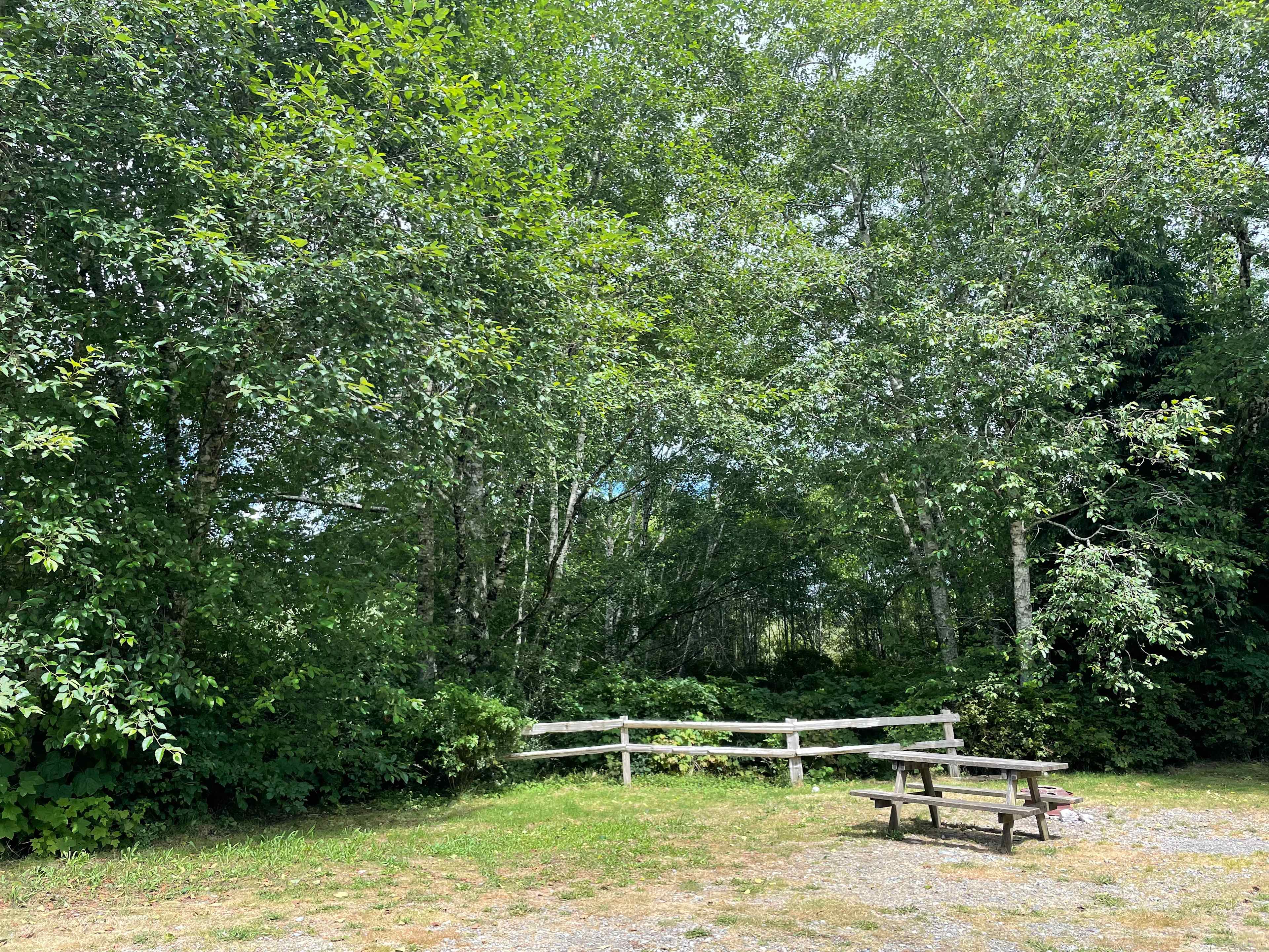 Site 1