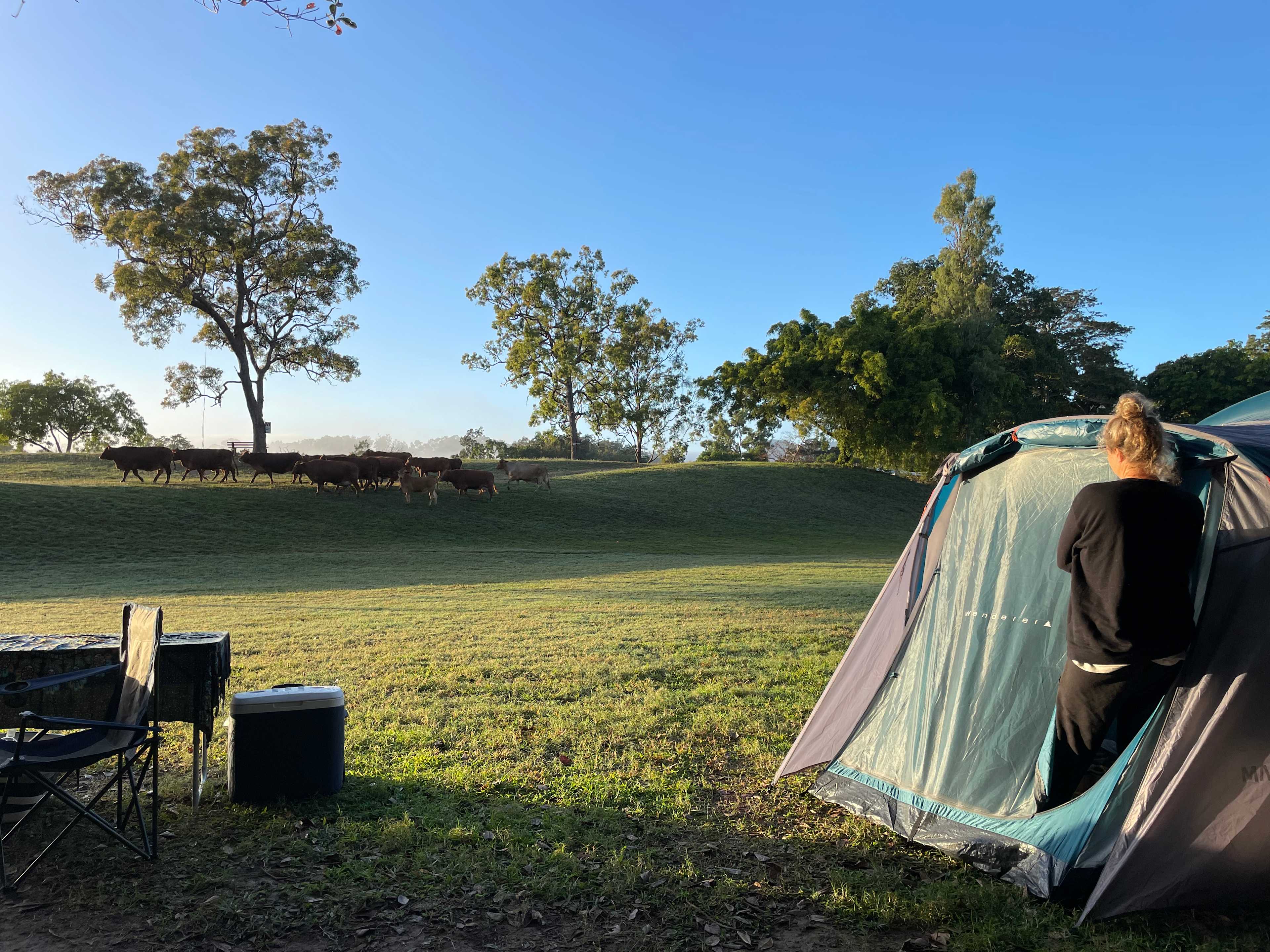 Cattle Camp, Sarina, QLD