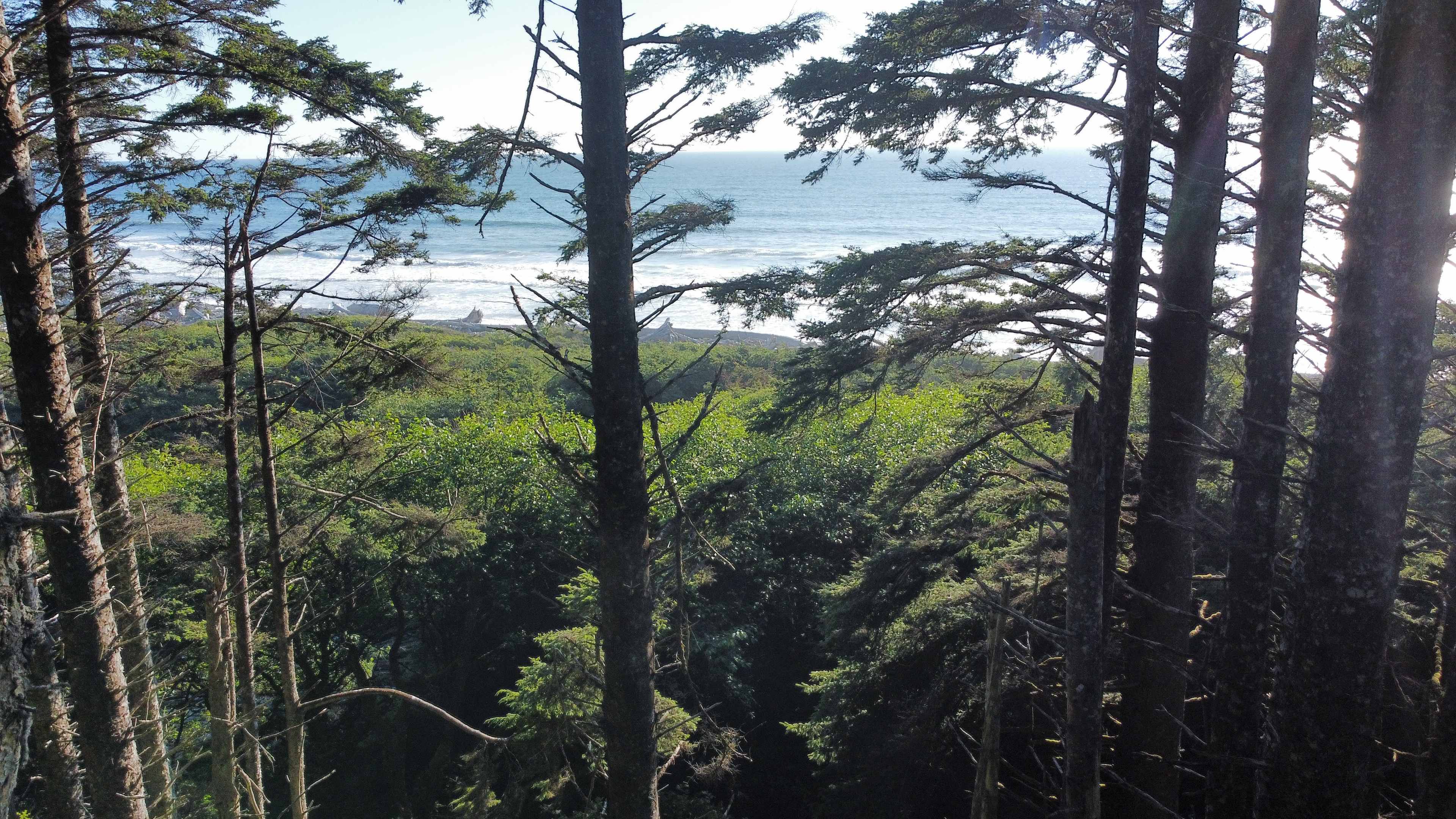 Wild WA Coast Lookout ($75 - $125)