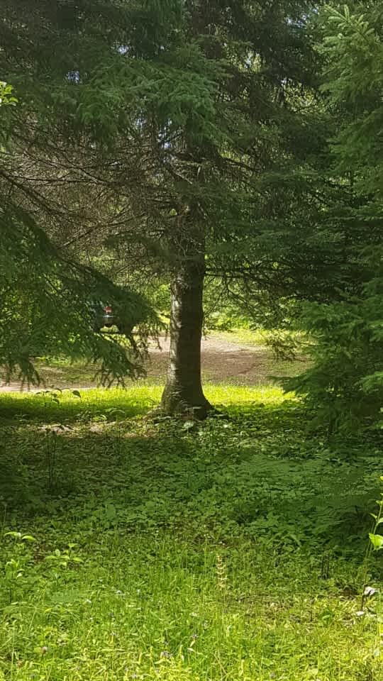 Peaceful Poolside Bliss!