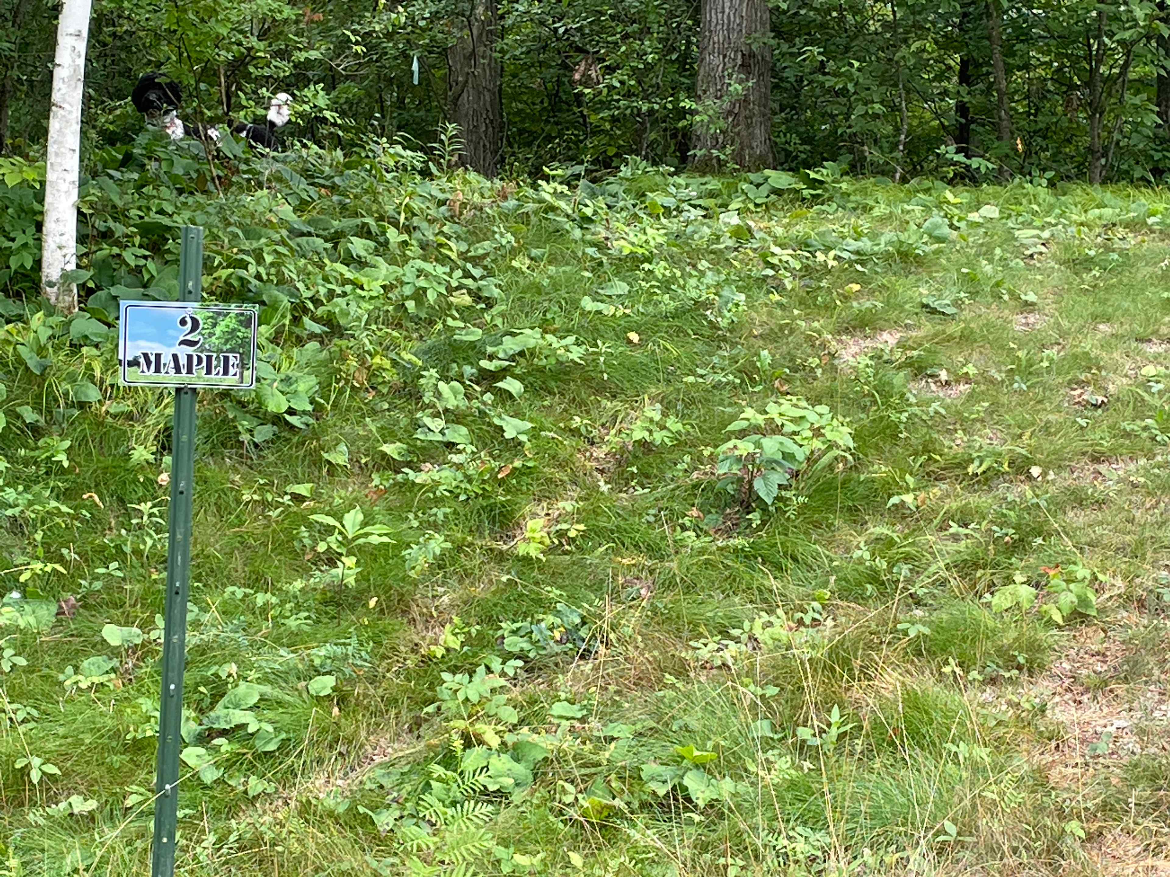 Hoppensteadt Hills