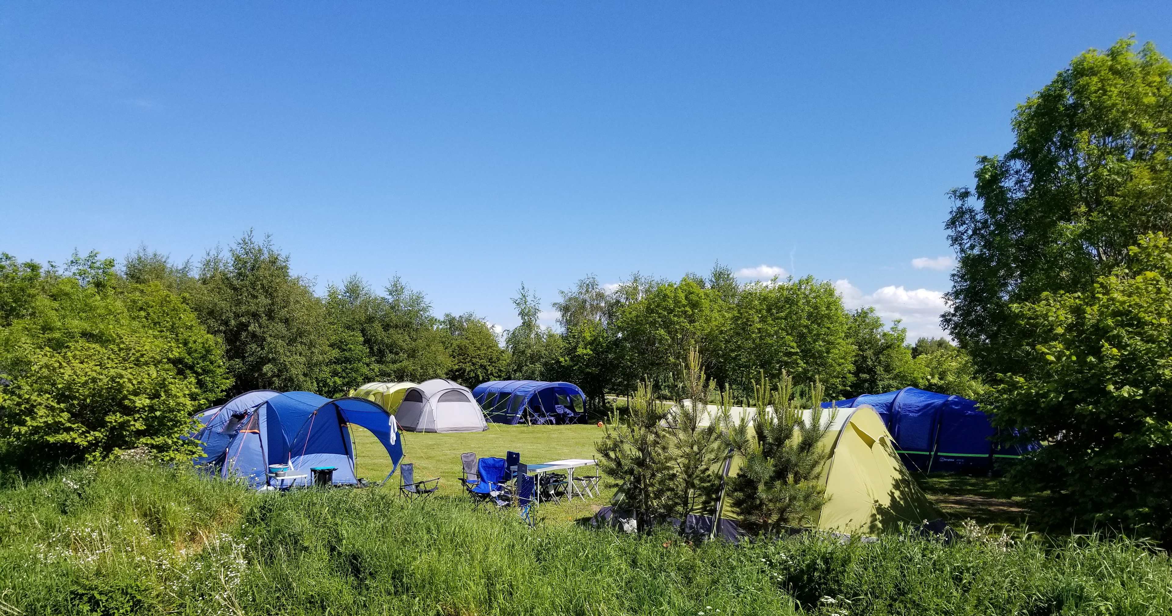 Electric hook up pitches on the Wilderness campsite.