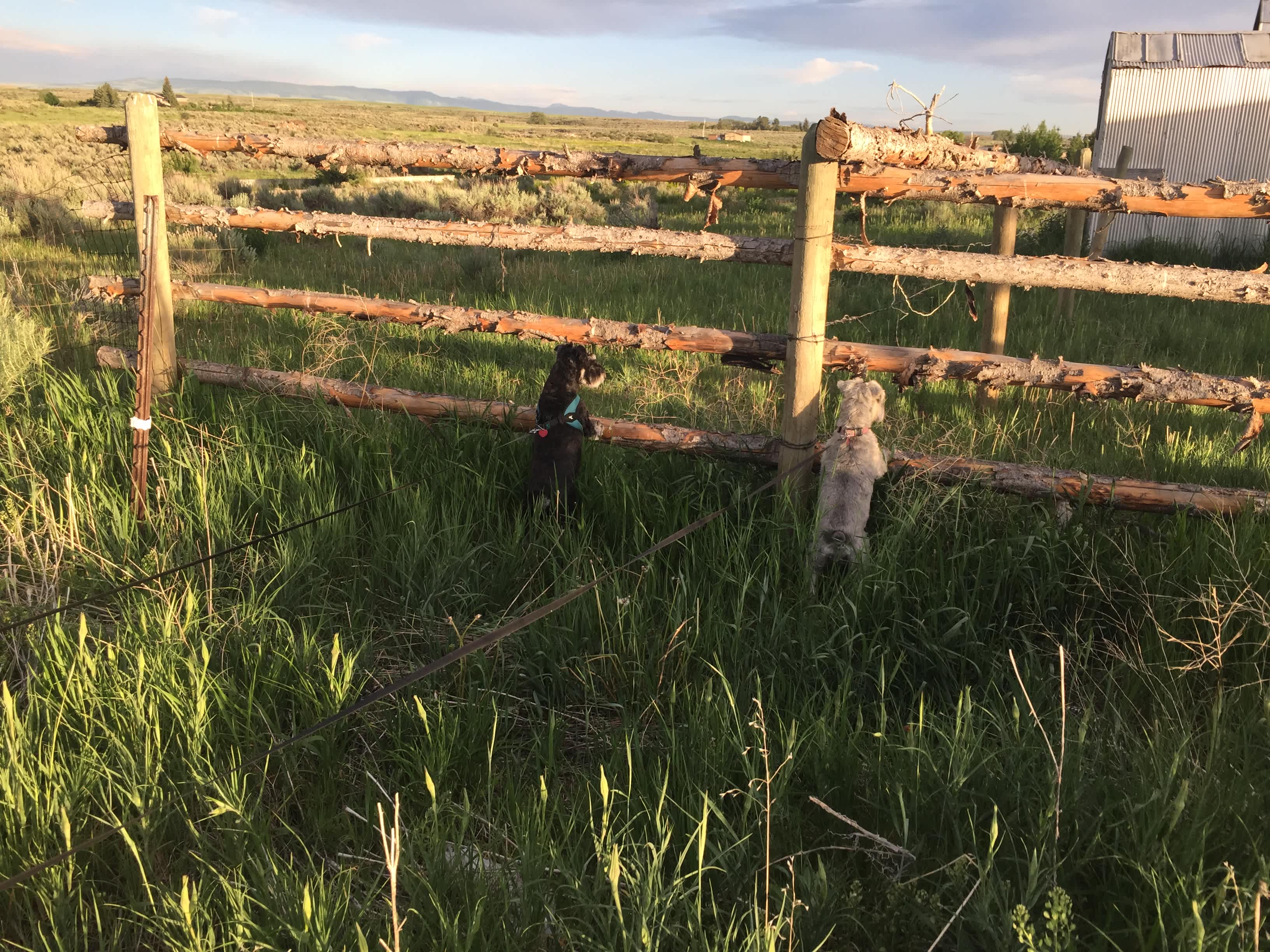 Teton View Ranch