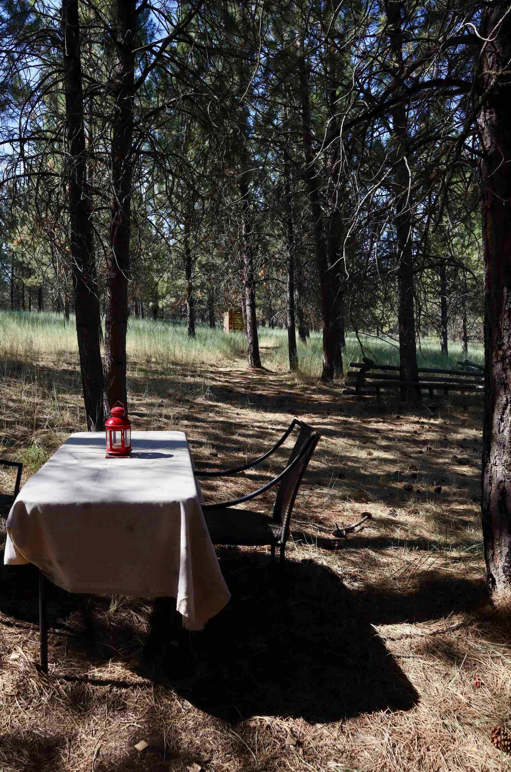 Bitterroot Cat Ranch