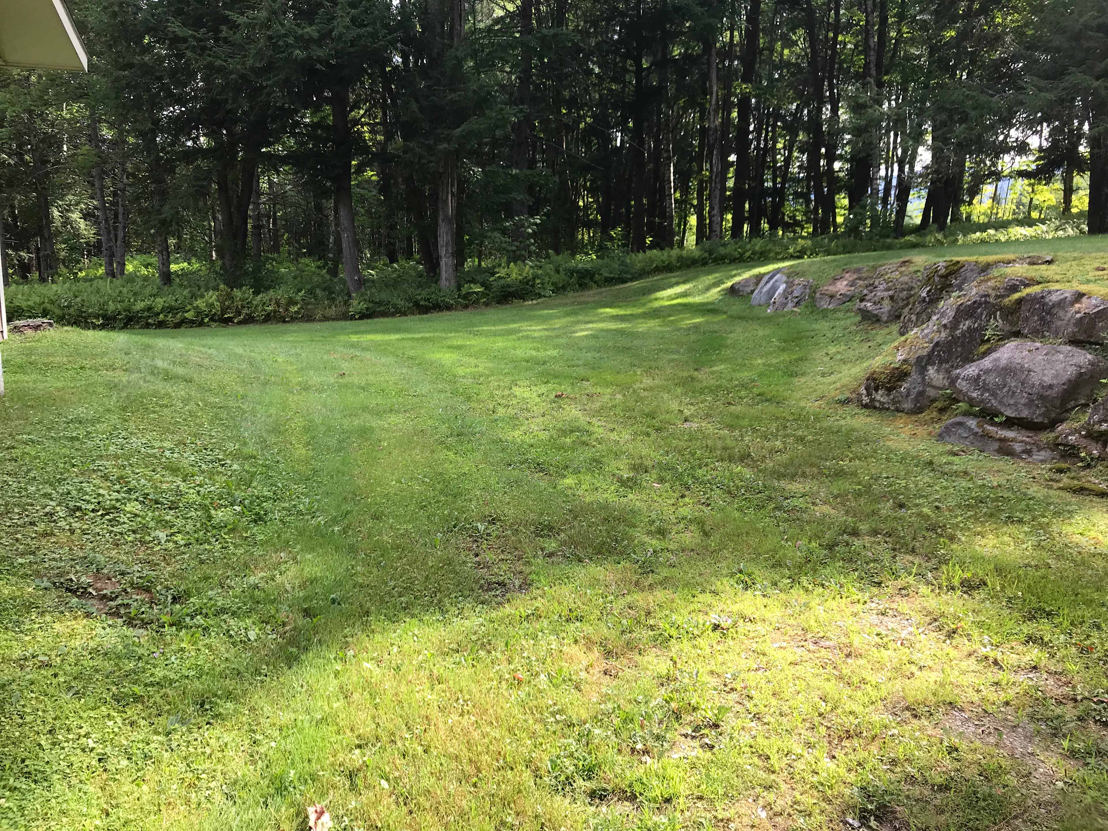 Parking spot. Deep. Grassy