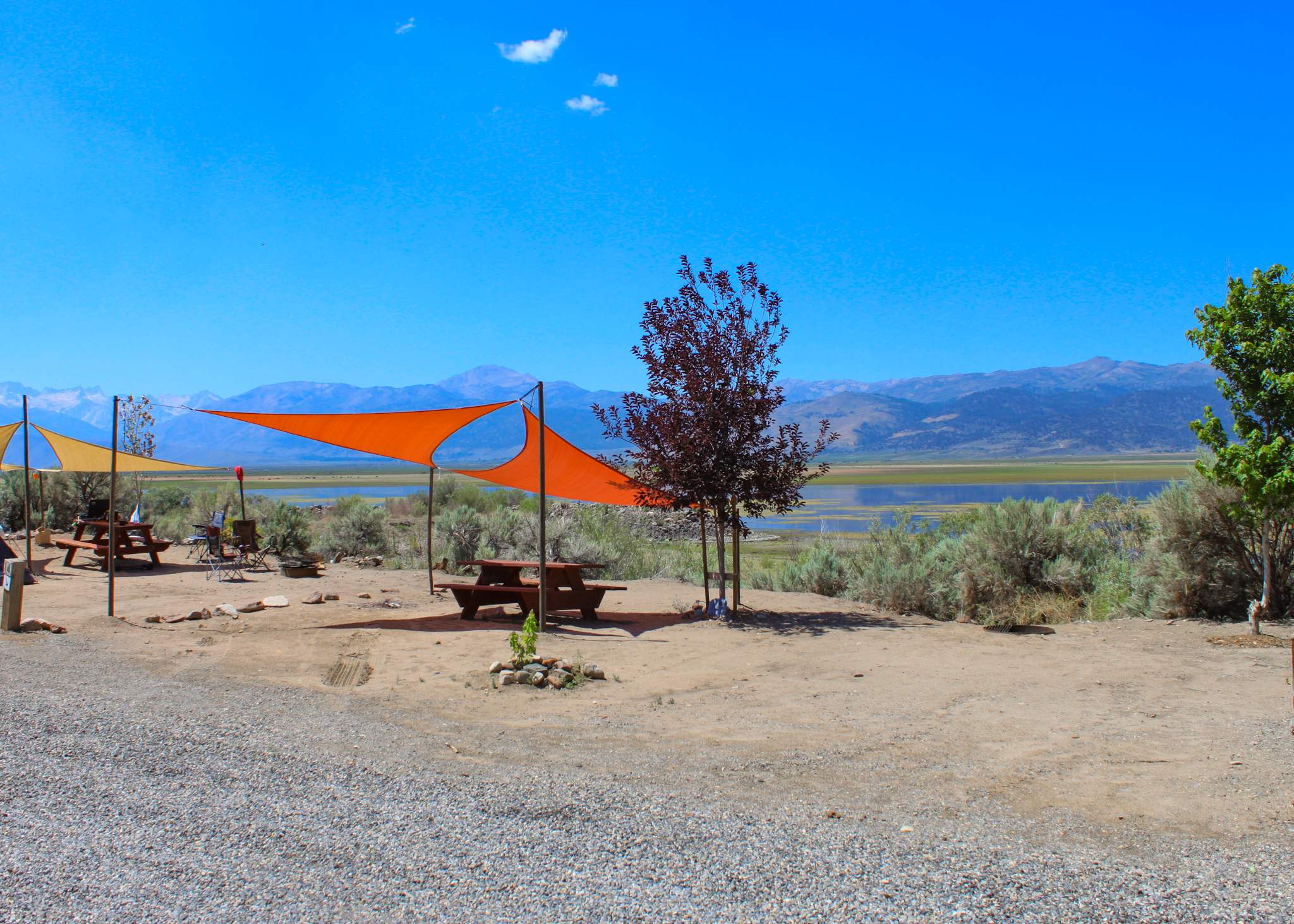 Site 14 - Tent Only Site