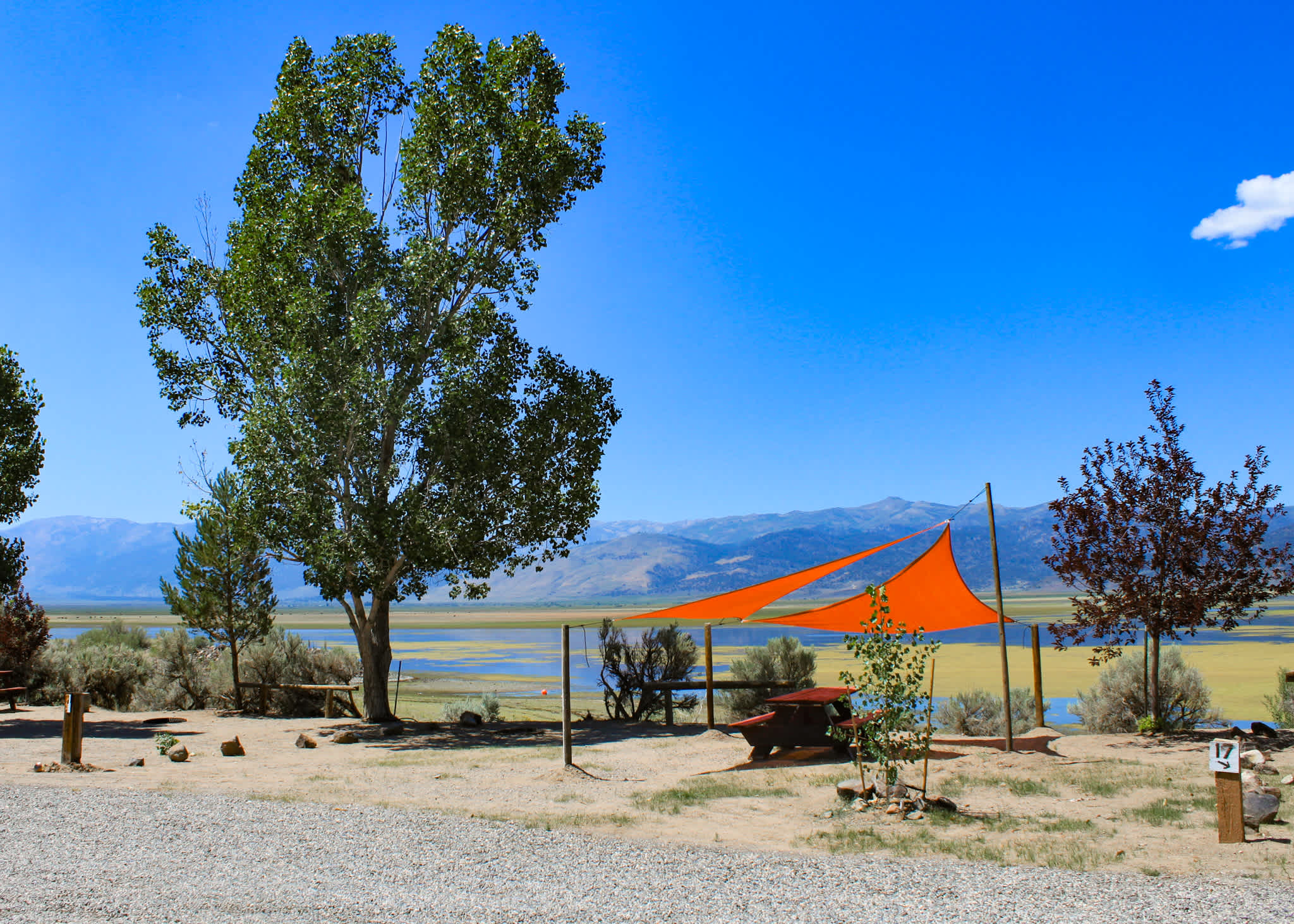 Site 16 - Tent Only Site