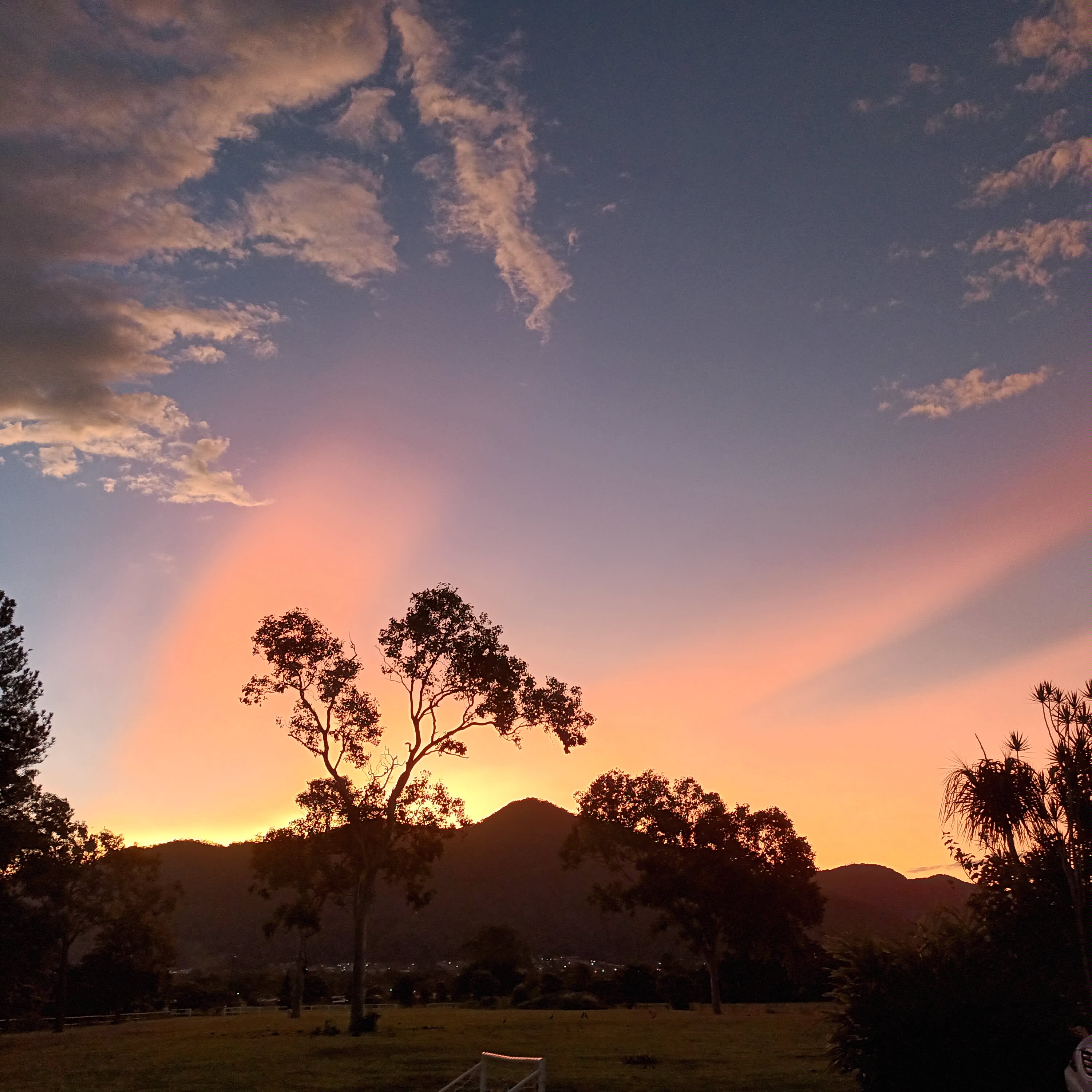 Easy Camping at Wallaby Nights