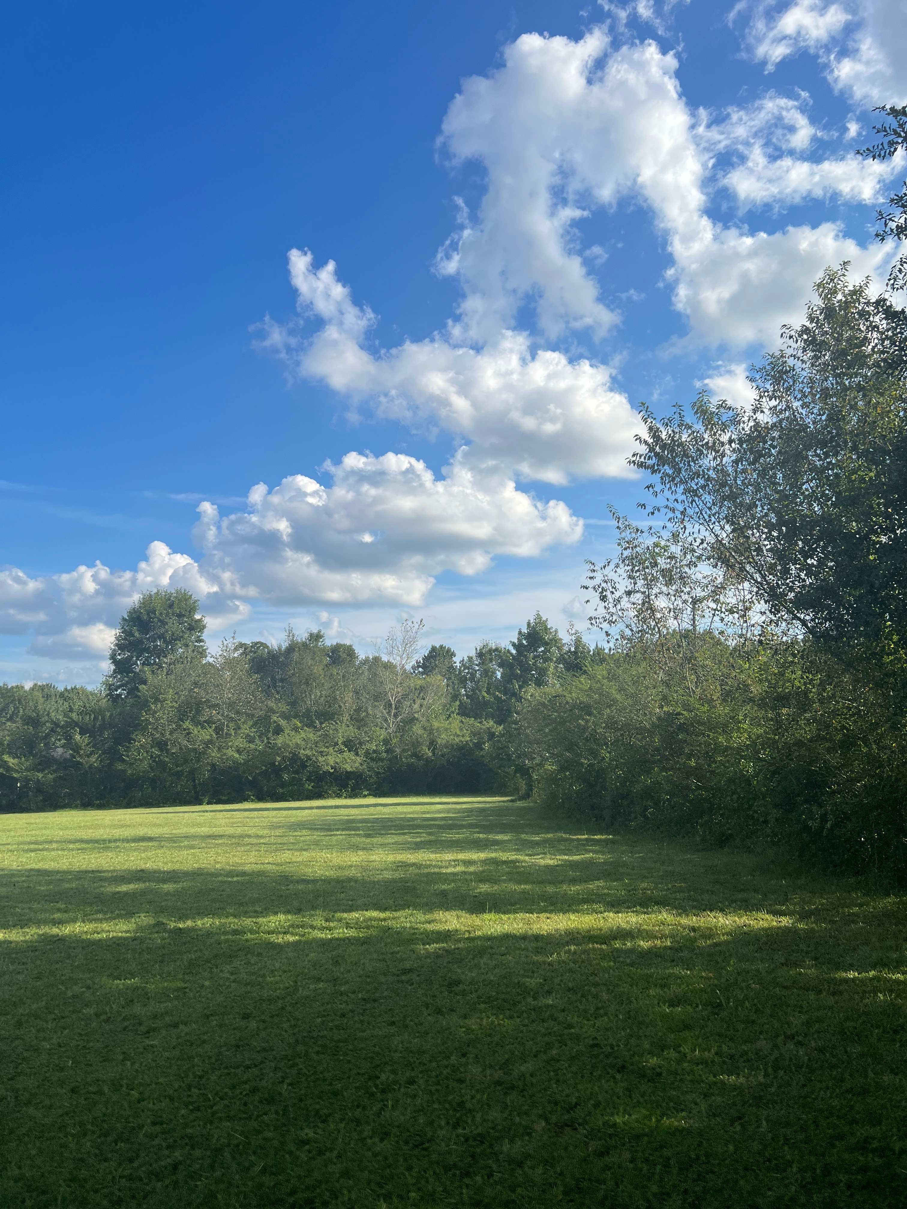 Oak Field Farm