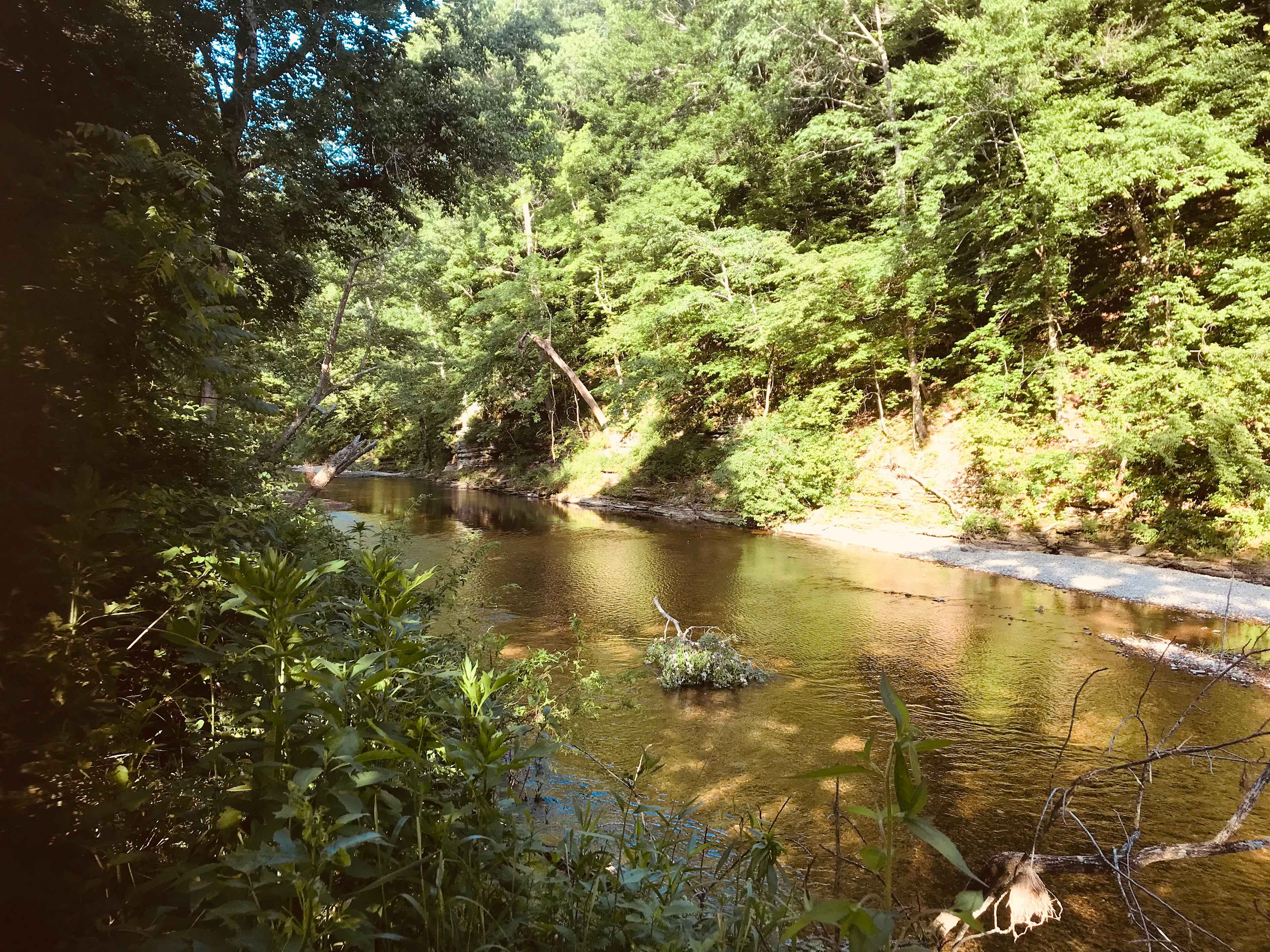 Campbell’s Camping