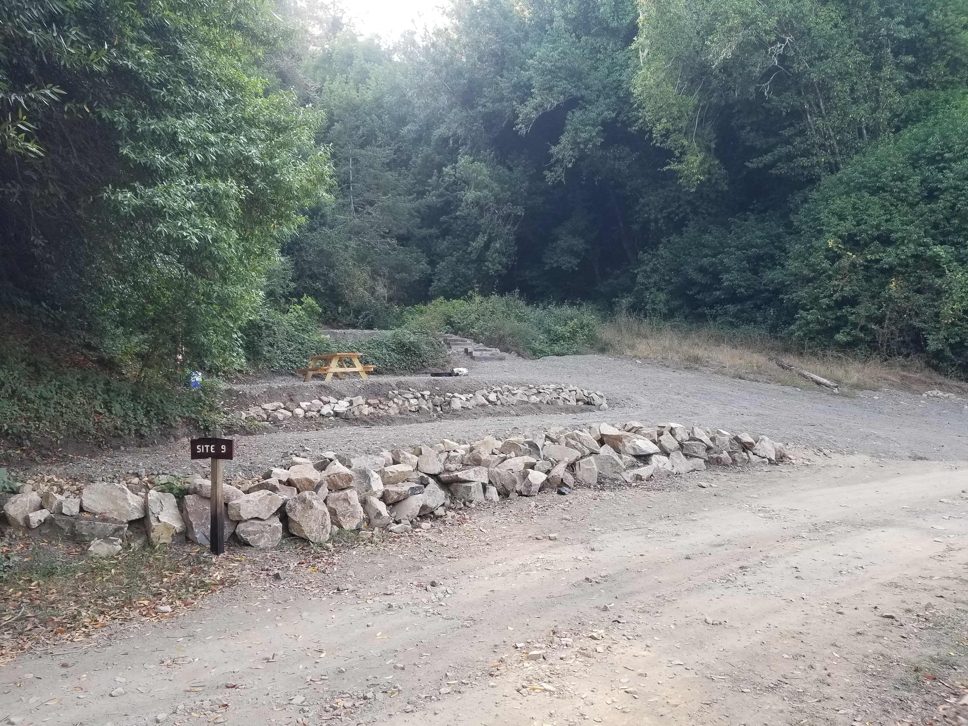 Site #9