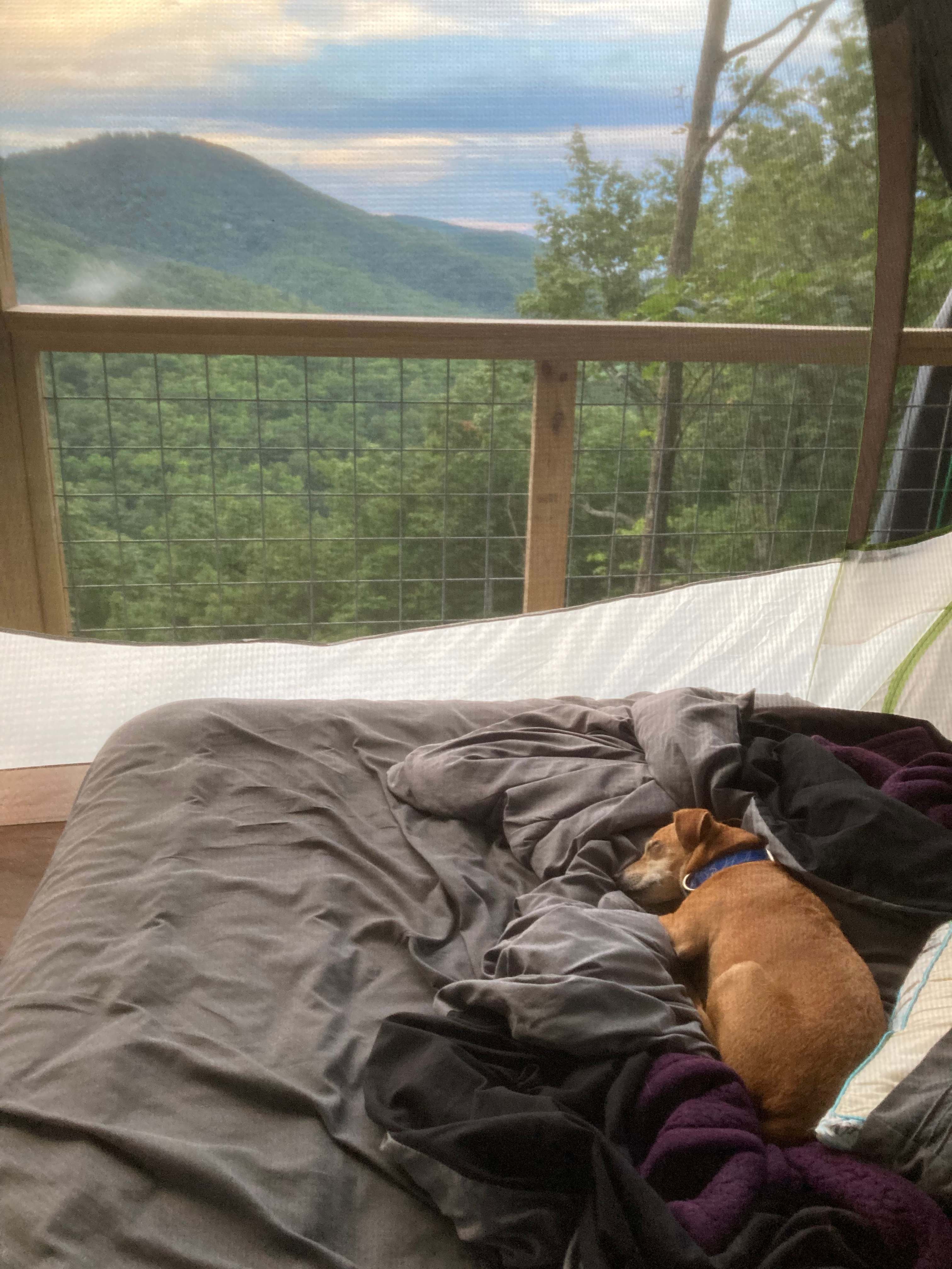 The view we got to wake up to! With the roof of the deck, tent rain flies not necessary! 
