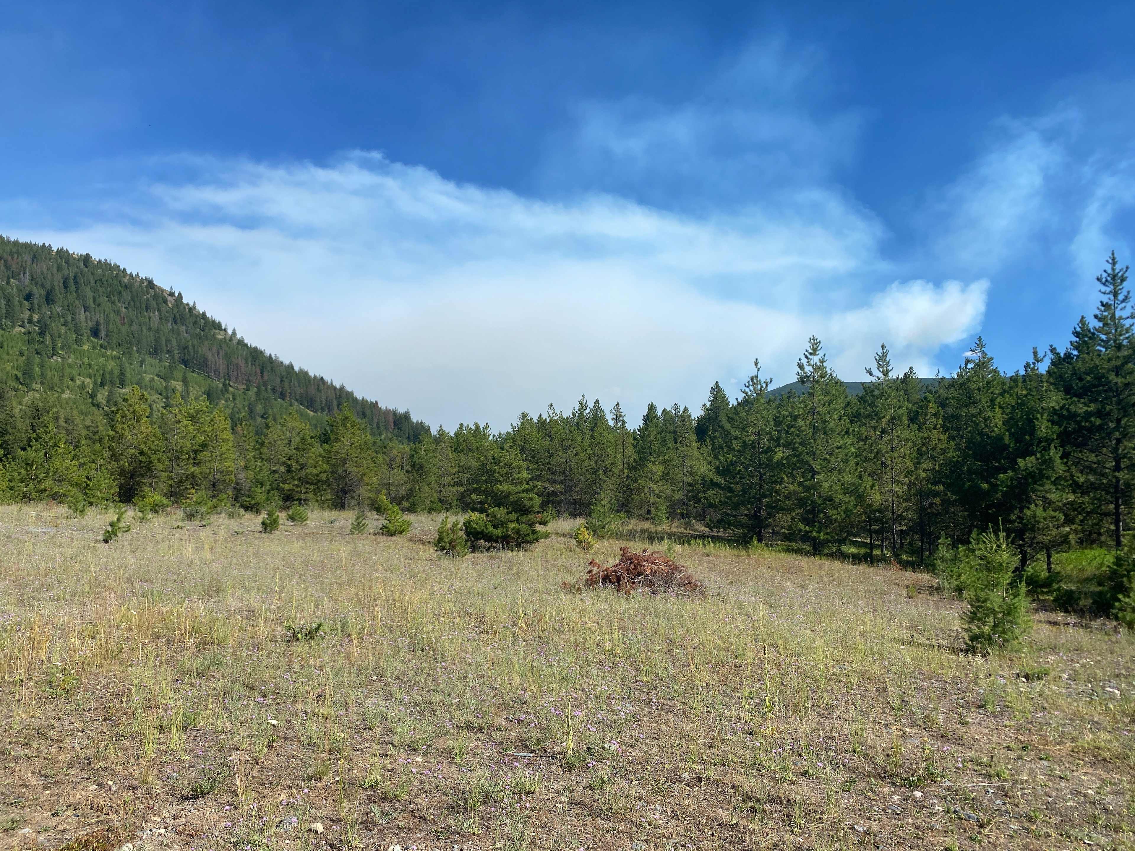 Murphy's Gold Creek Ranch