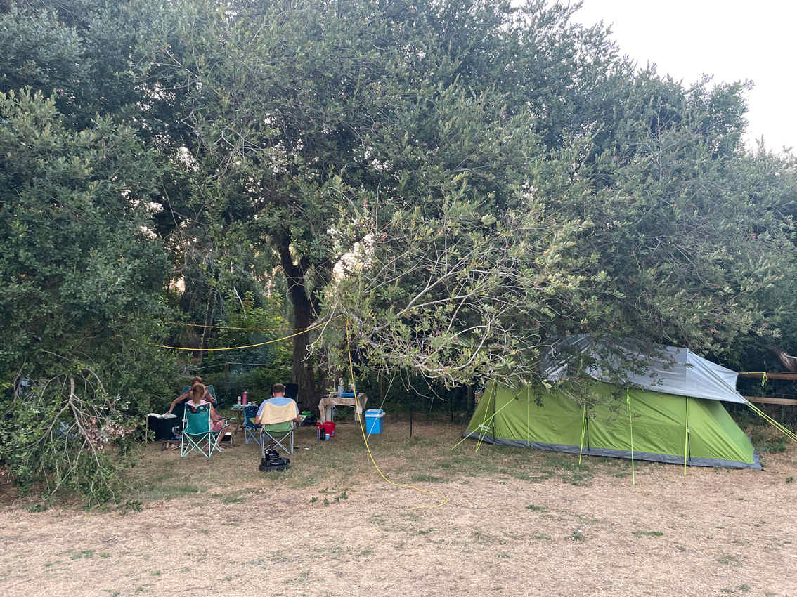 Camp Hartland