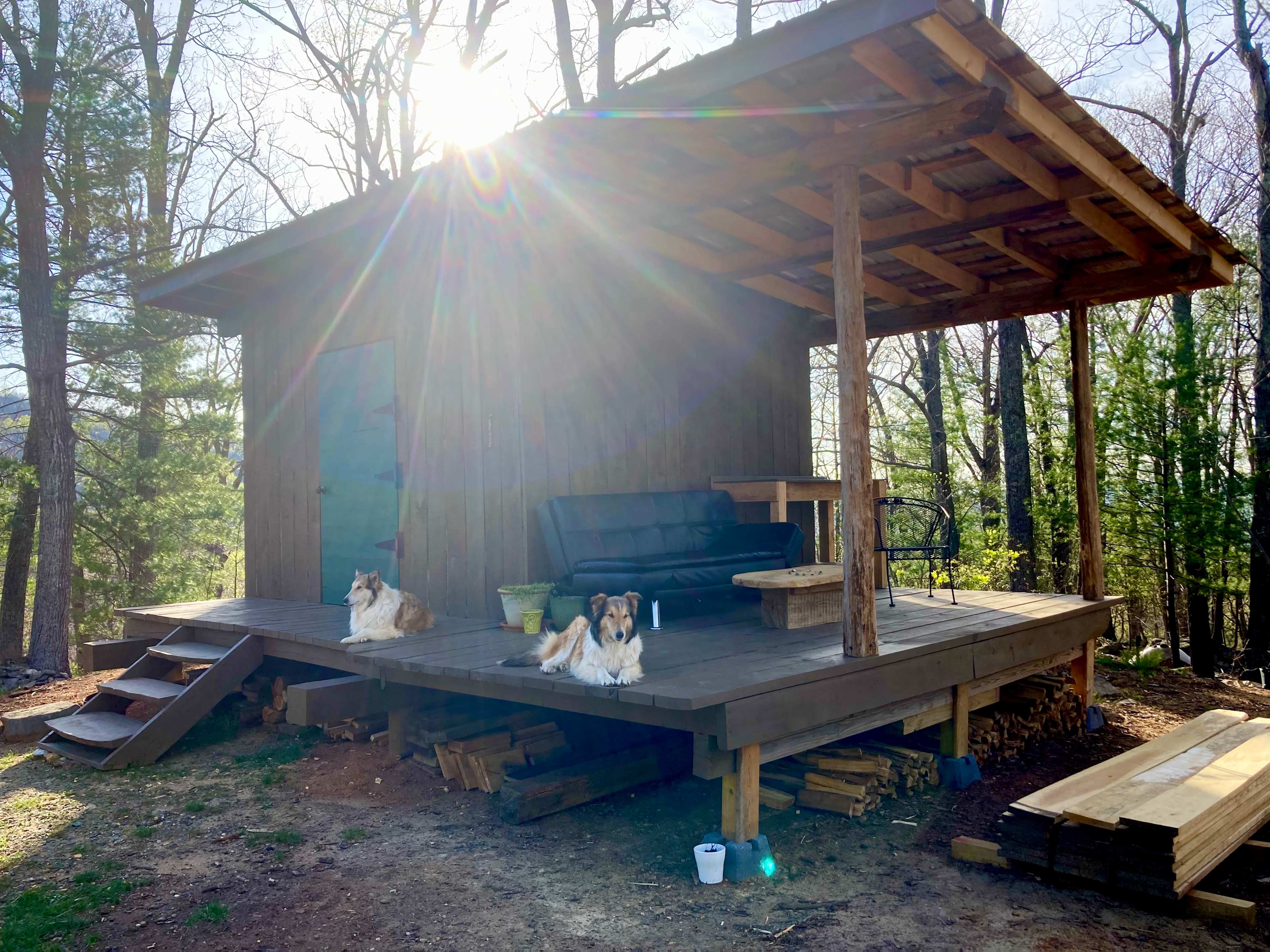 Fat Owl Farm