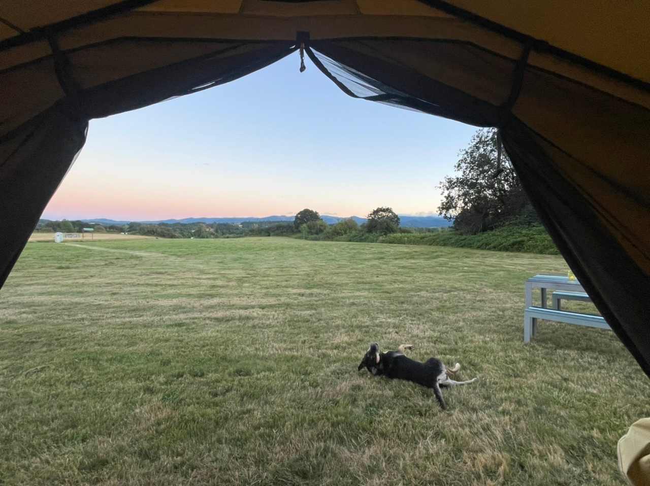 Picture of the site