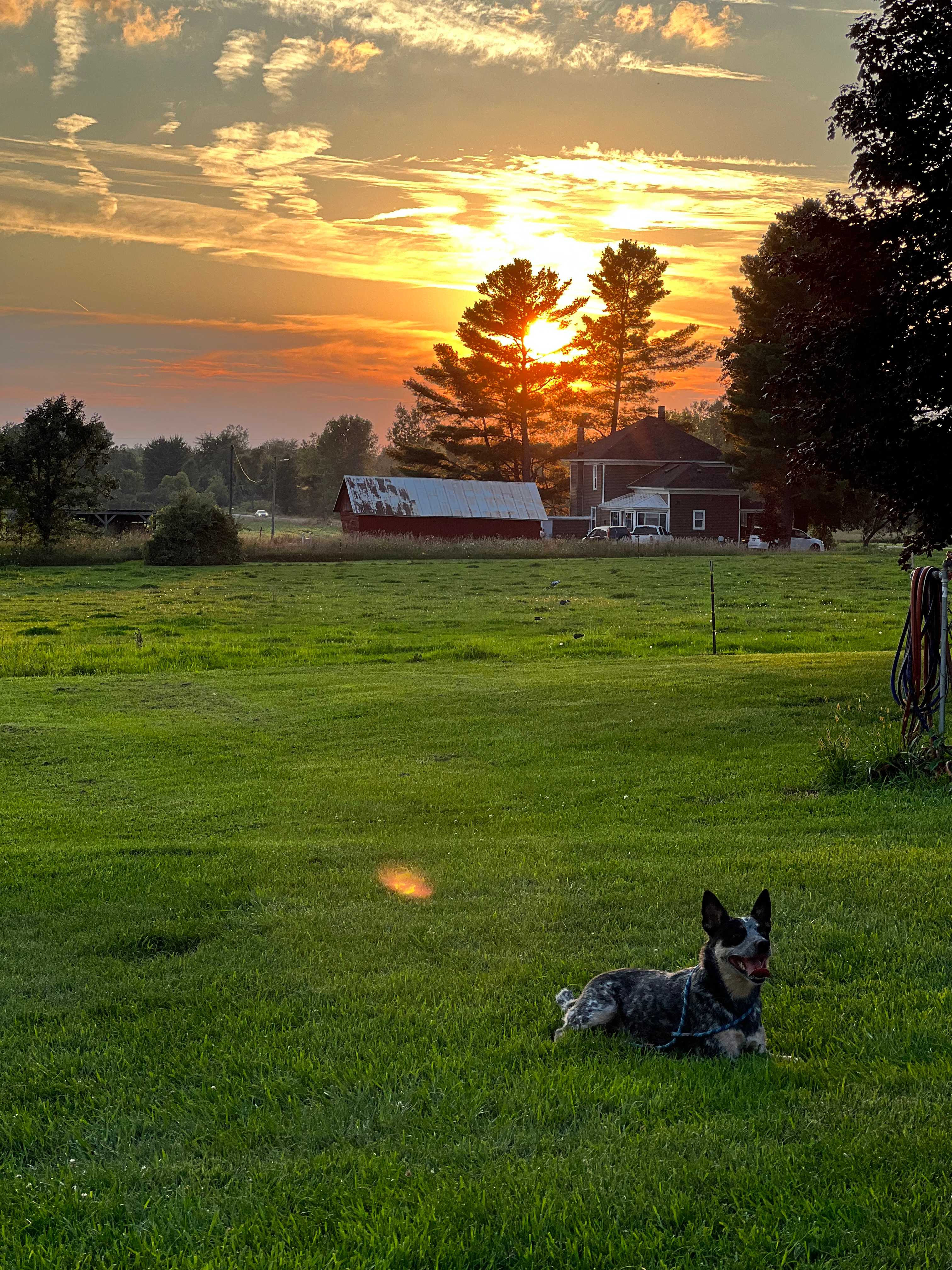 Four Acre Field