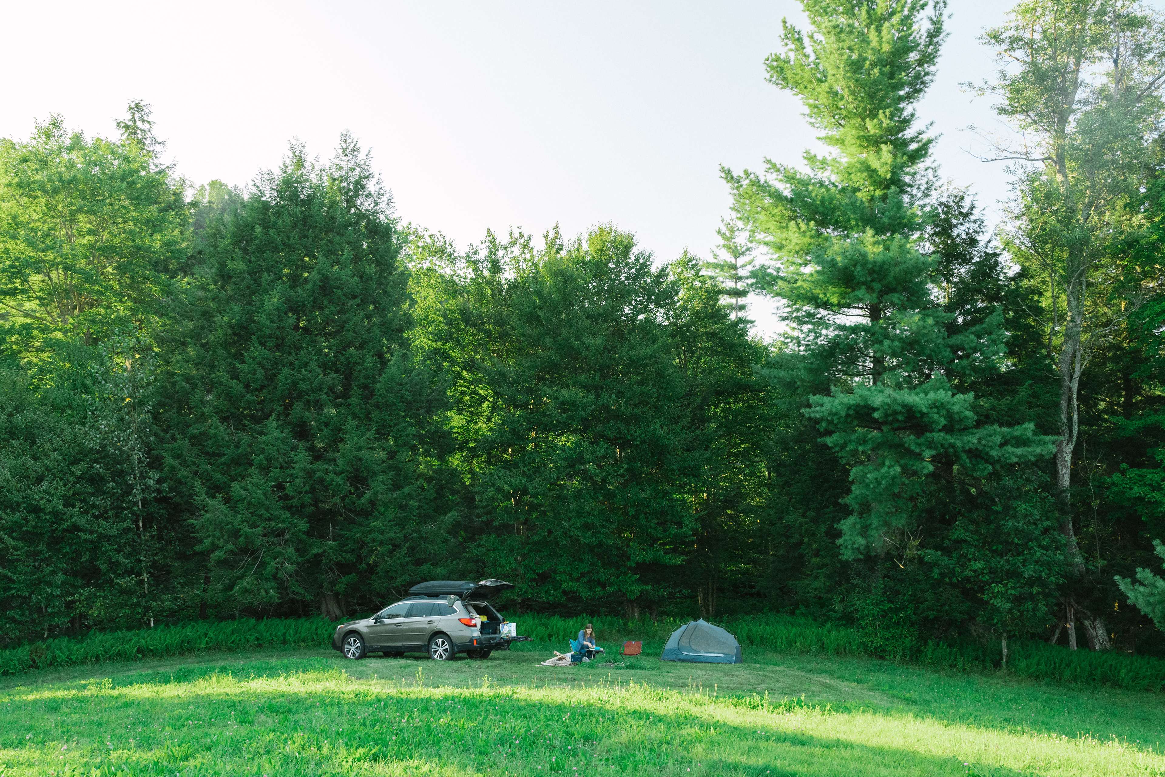 Site 5 is at the top of the hill tucked near the forest.