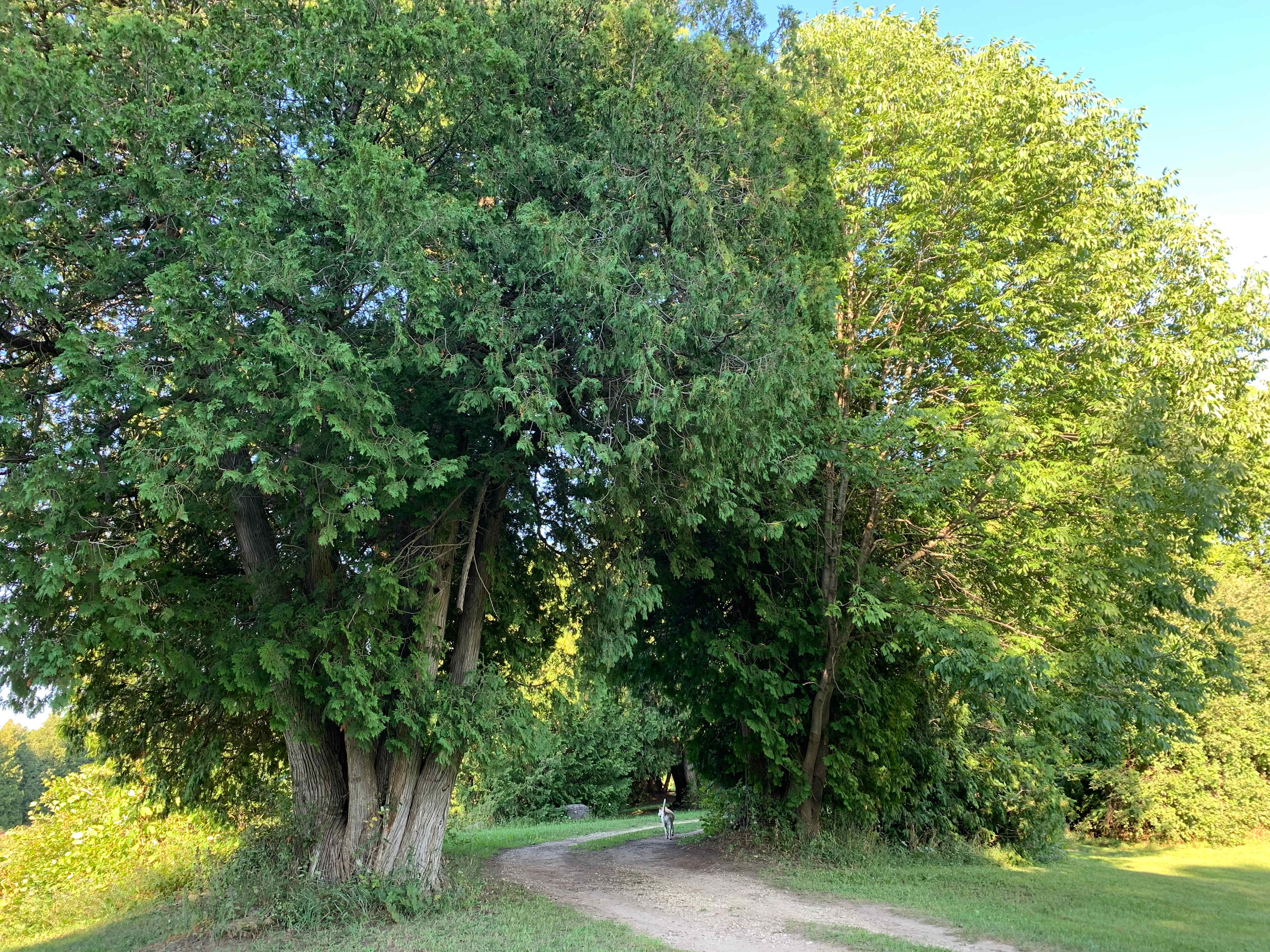 Beaver Ranch
