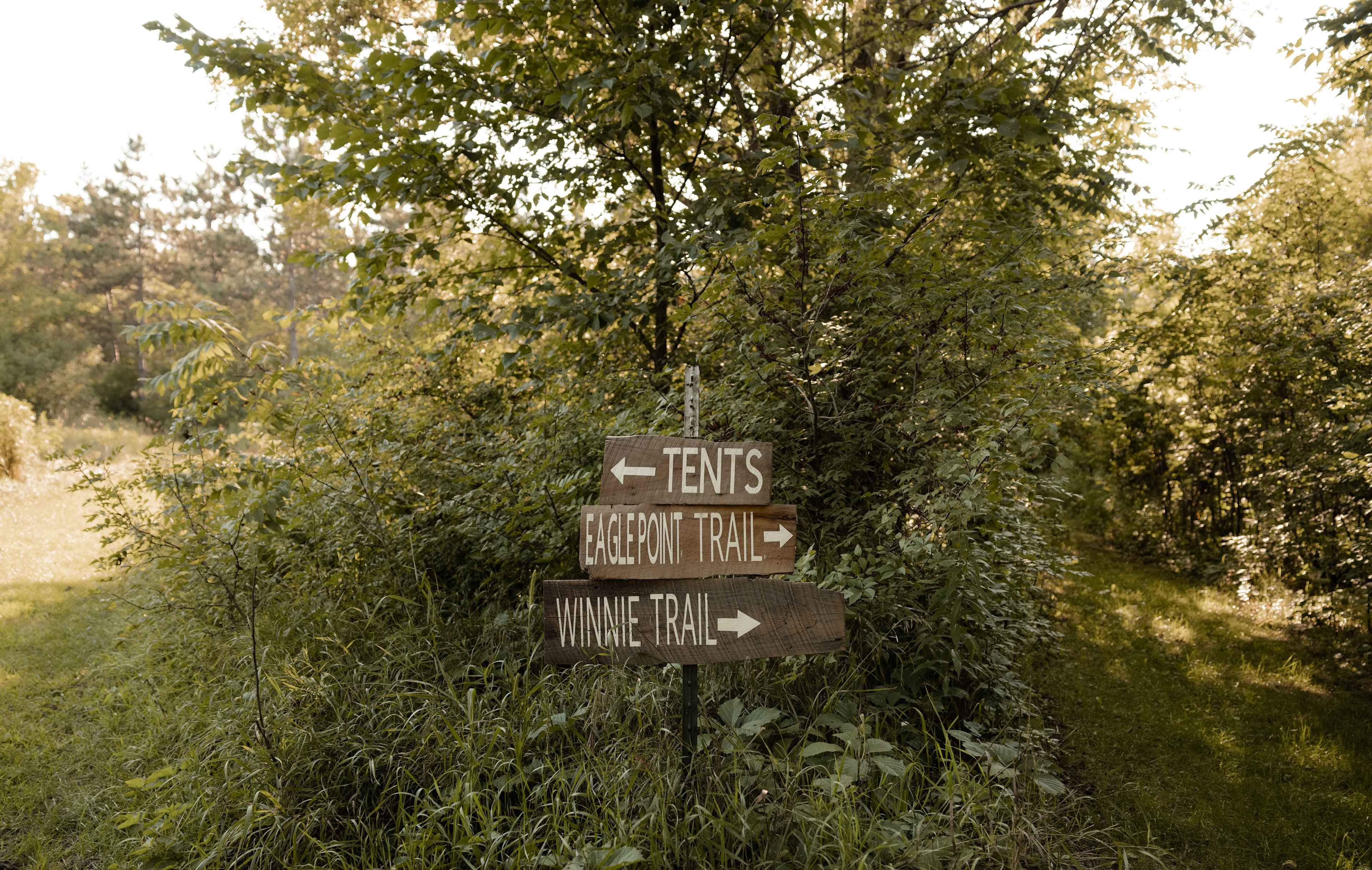 Red Cedar Glamping