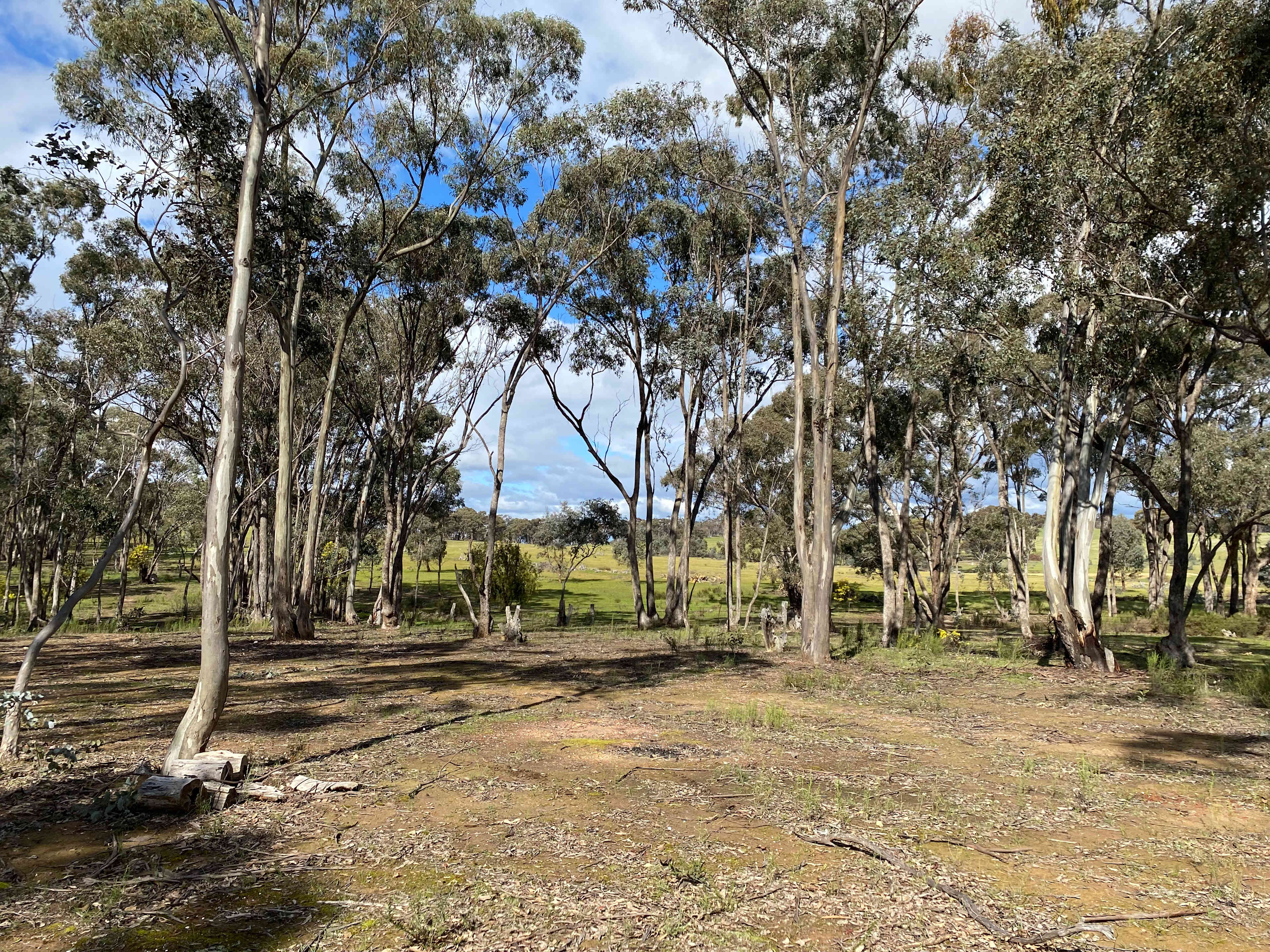 Muckleford Bush Block
