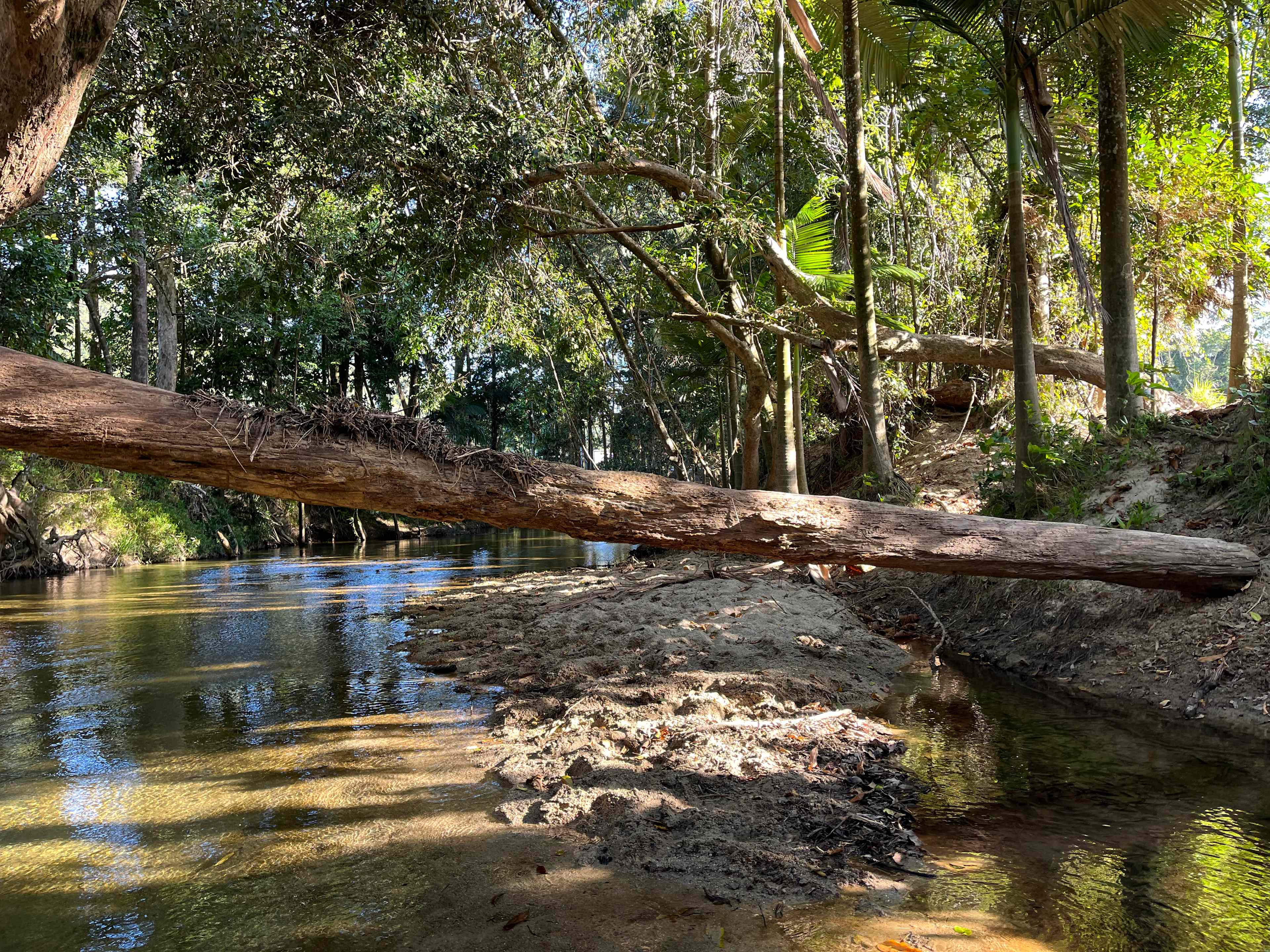 River Paddock Farm