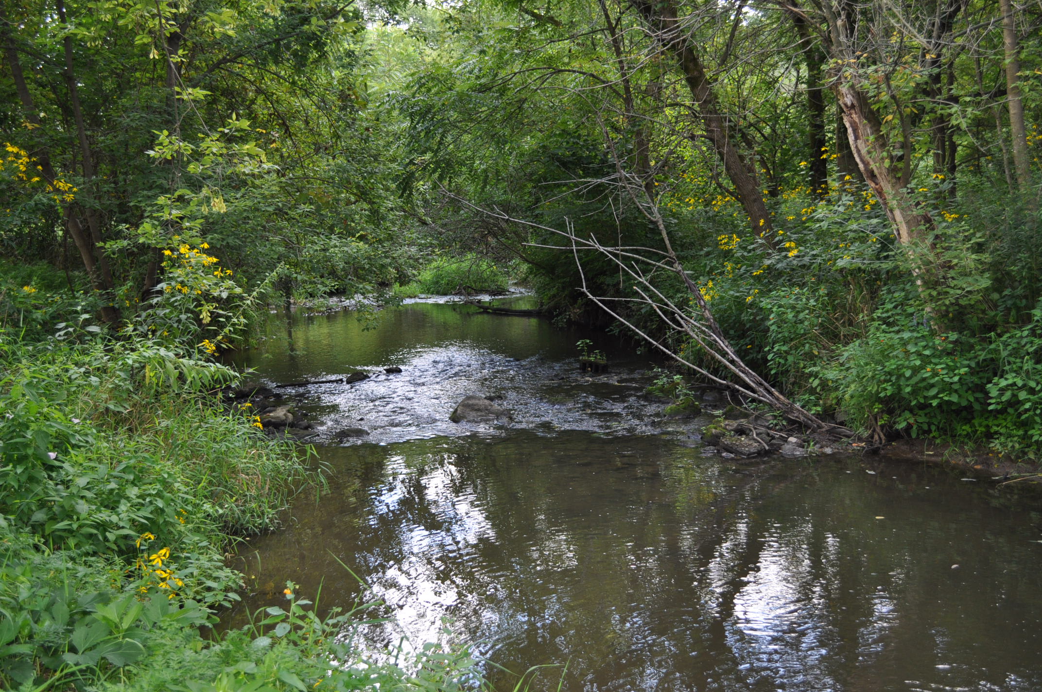 A Creek Runs Through It