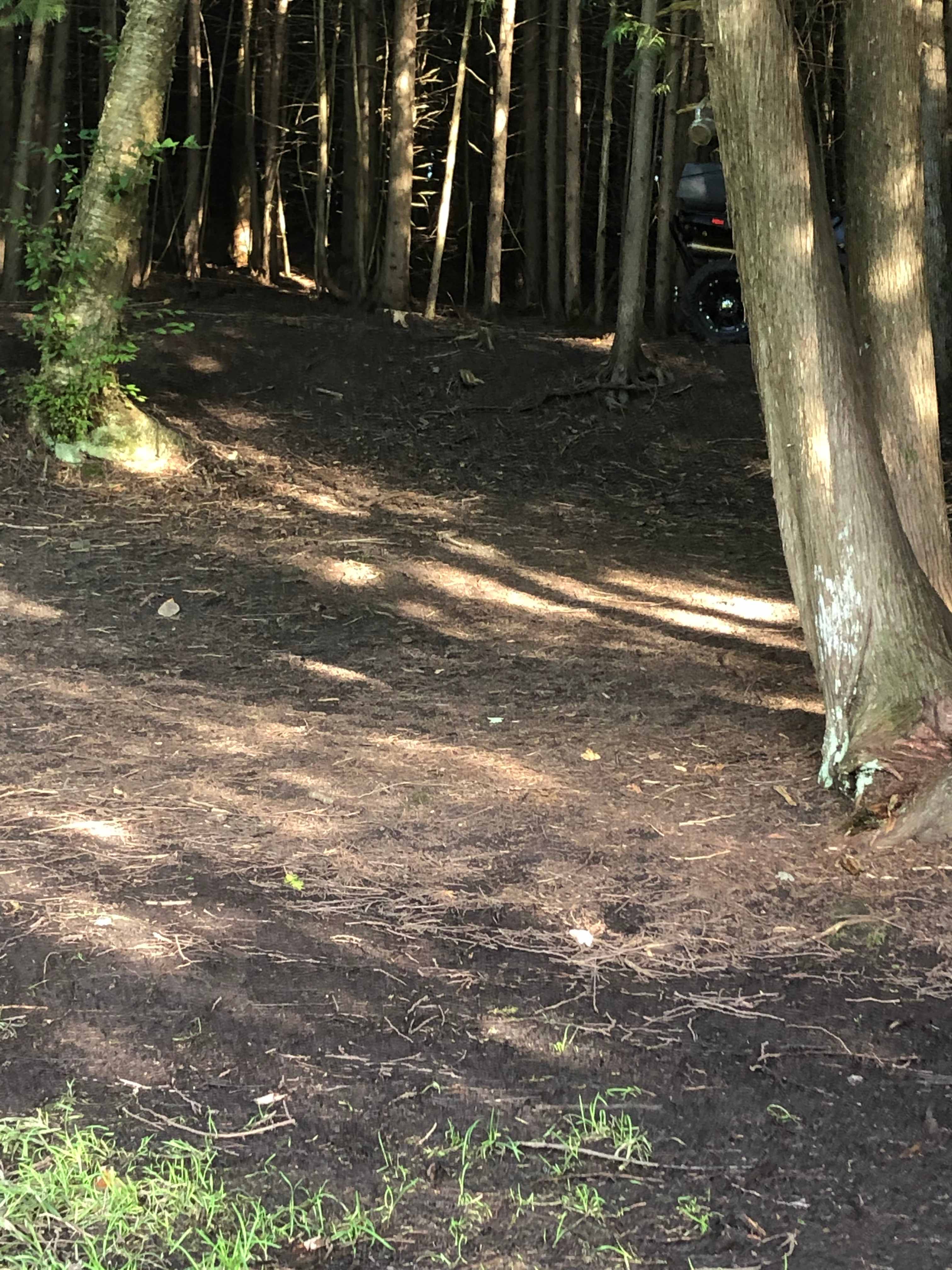 Edges Sideroad Springs