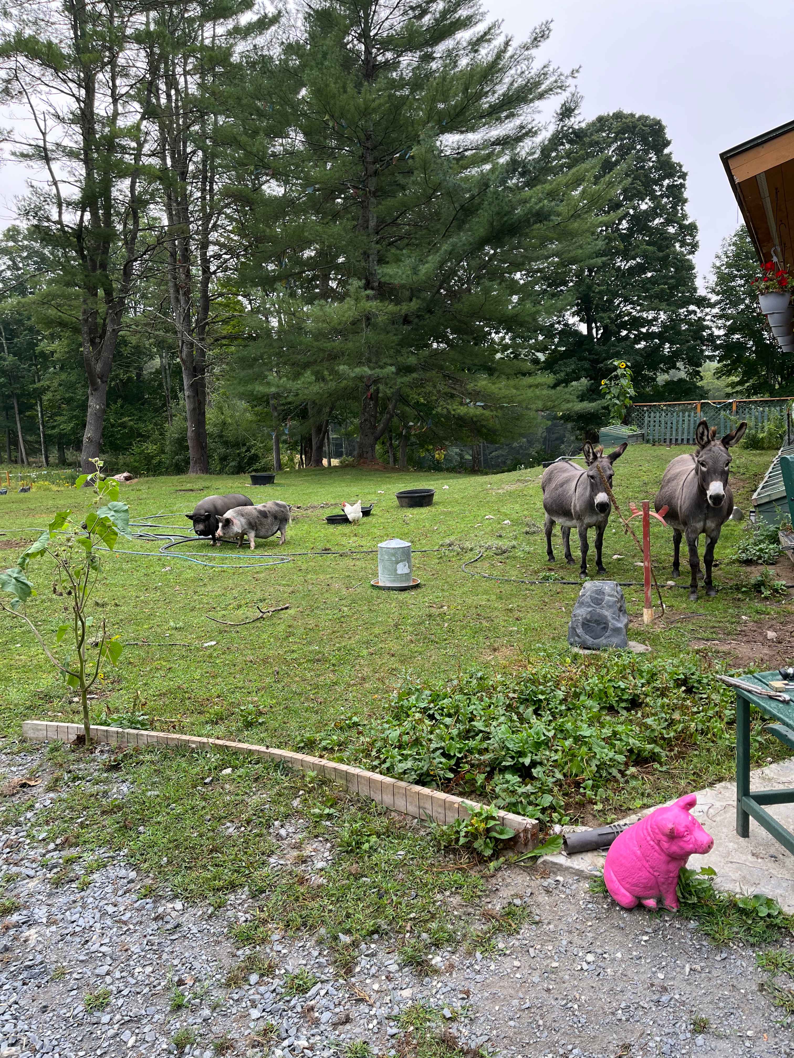 Willoughby Farm Animal Rescue