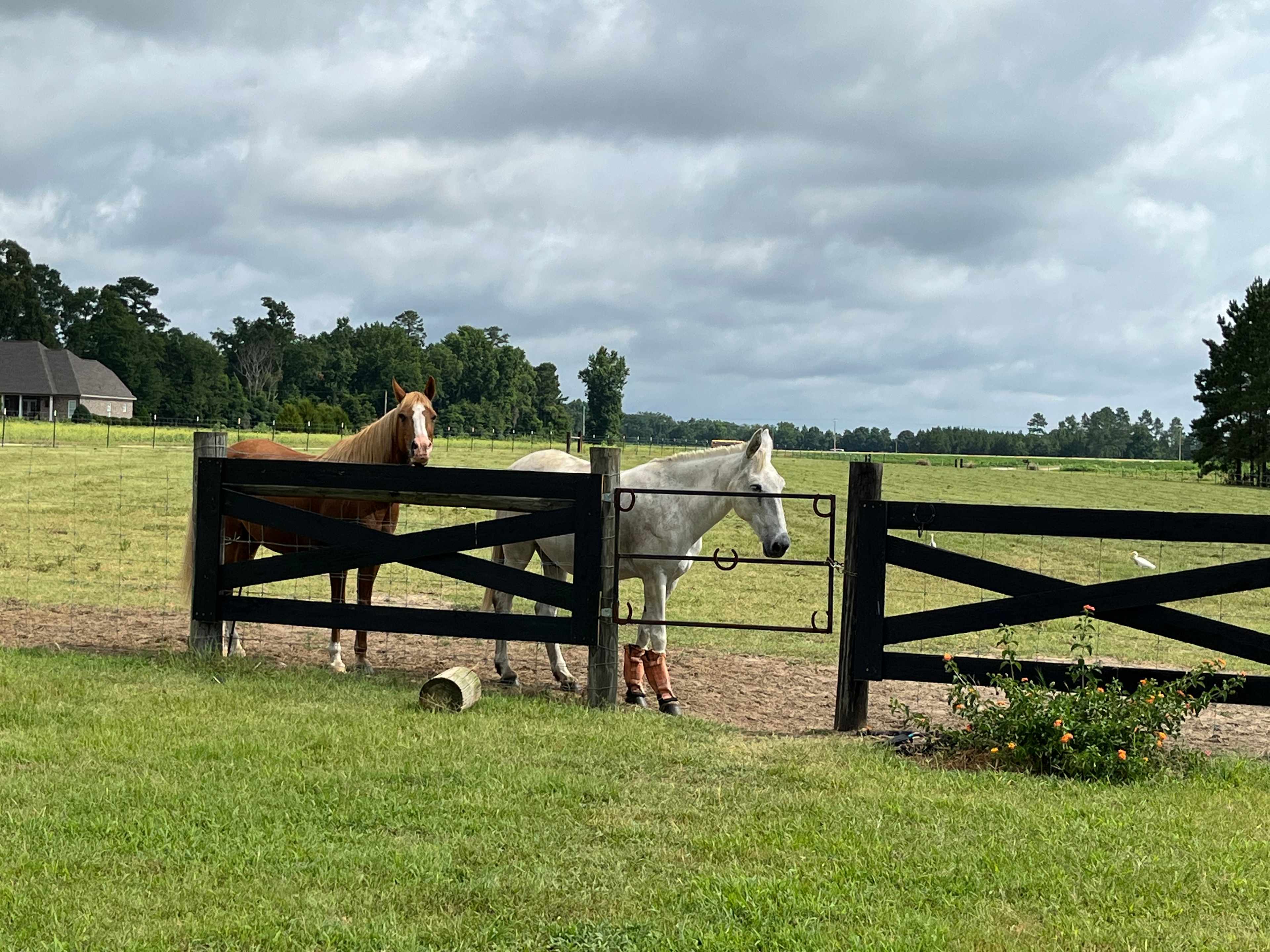 Relax at The Horse Barn