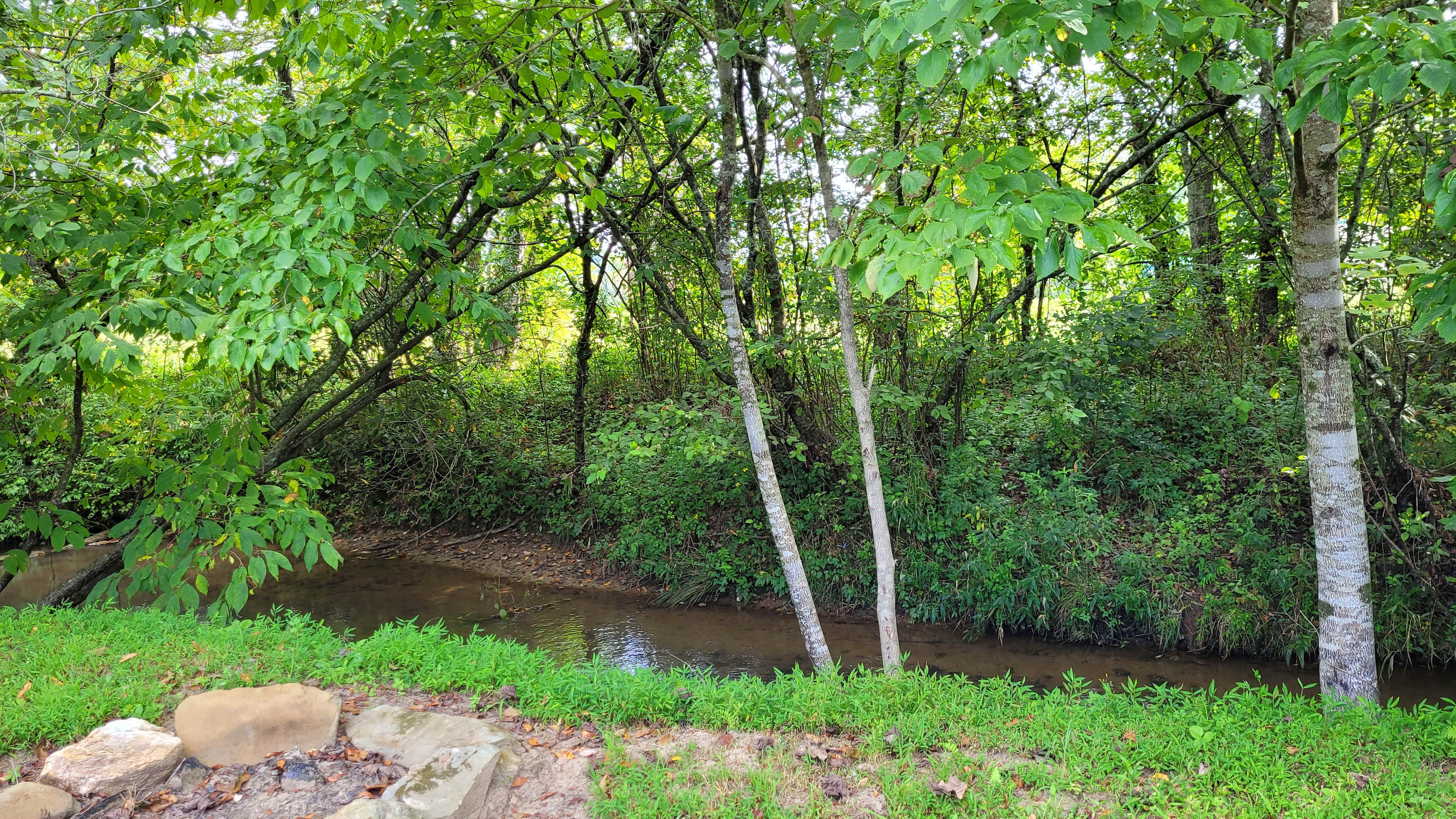 Site 3 creek access from site